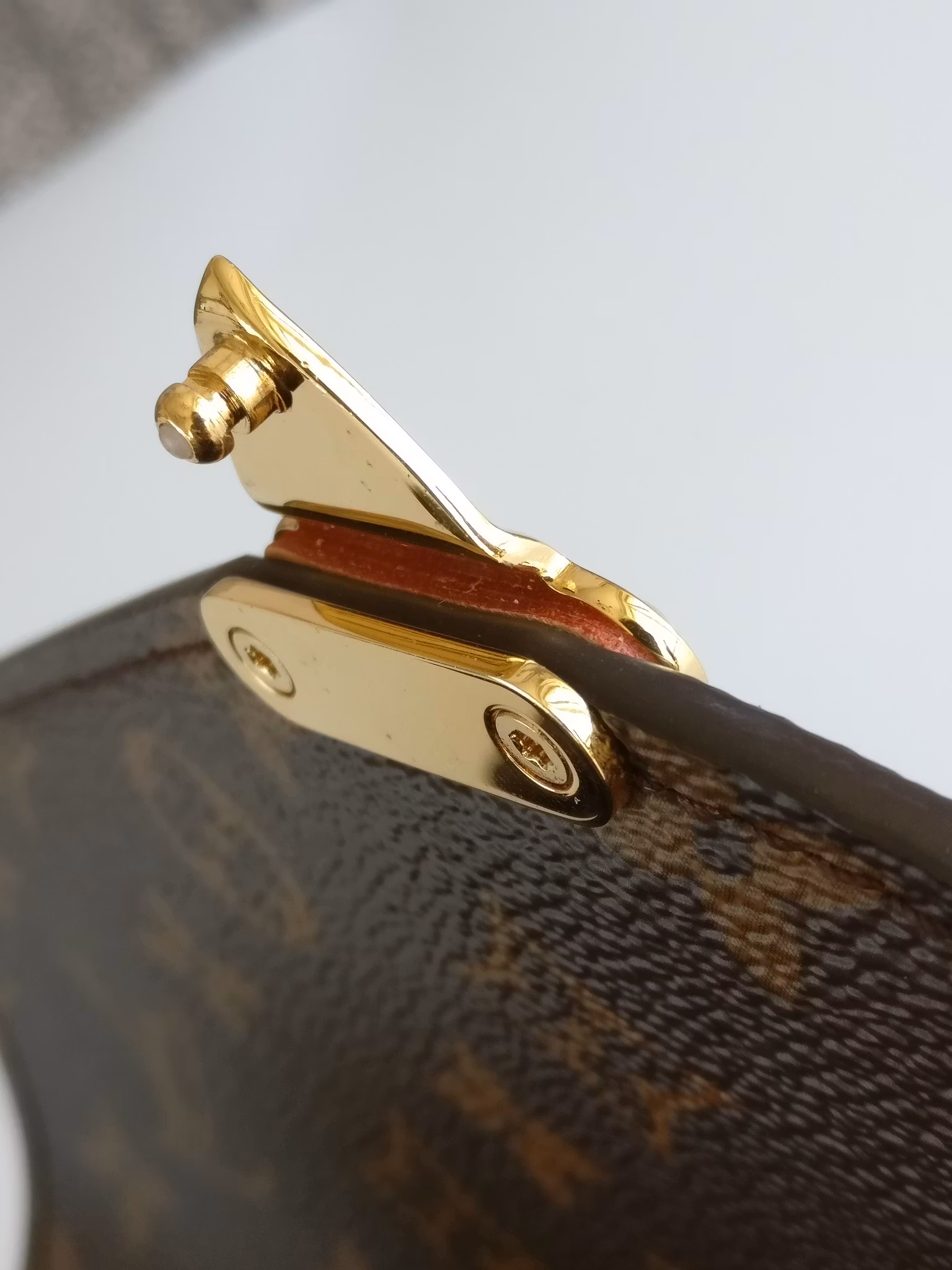 Louis Vuitton Pochette Metis