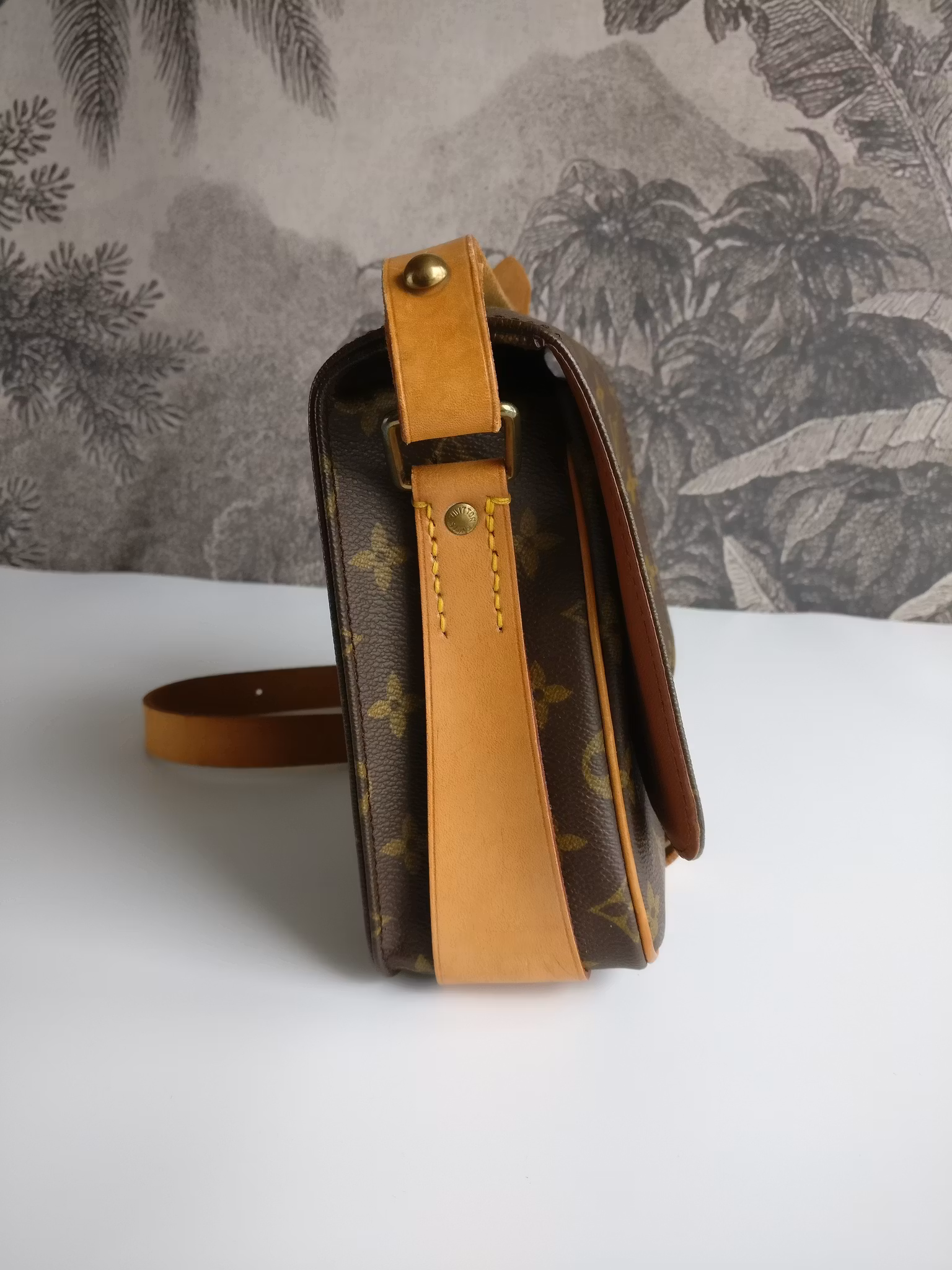 Louis Vuitton Cartouchiere MM