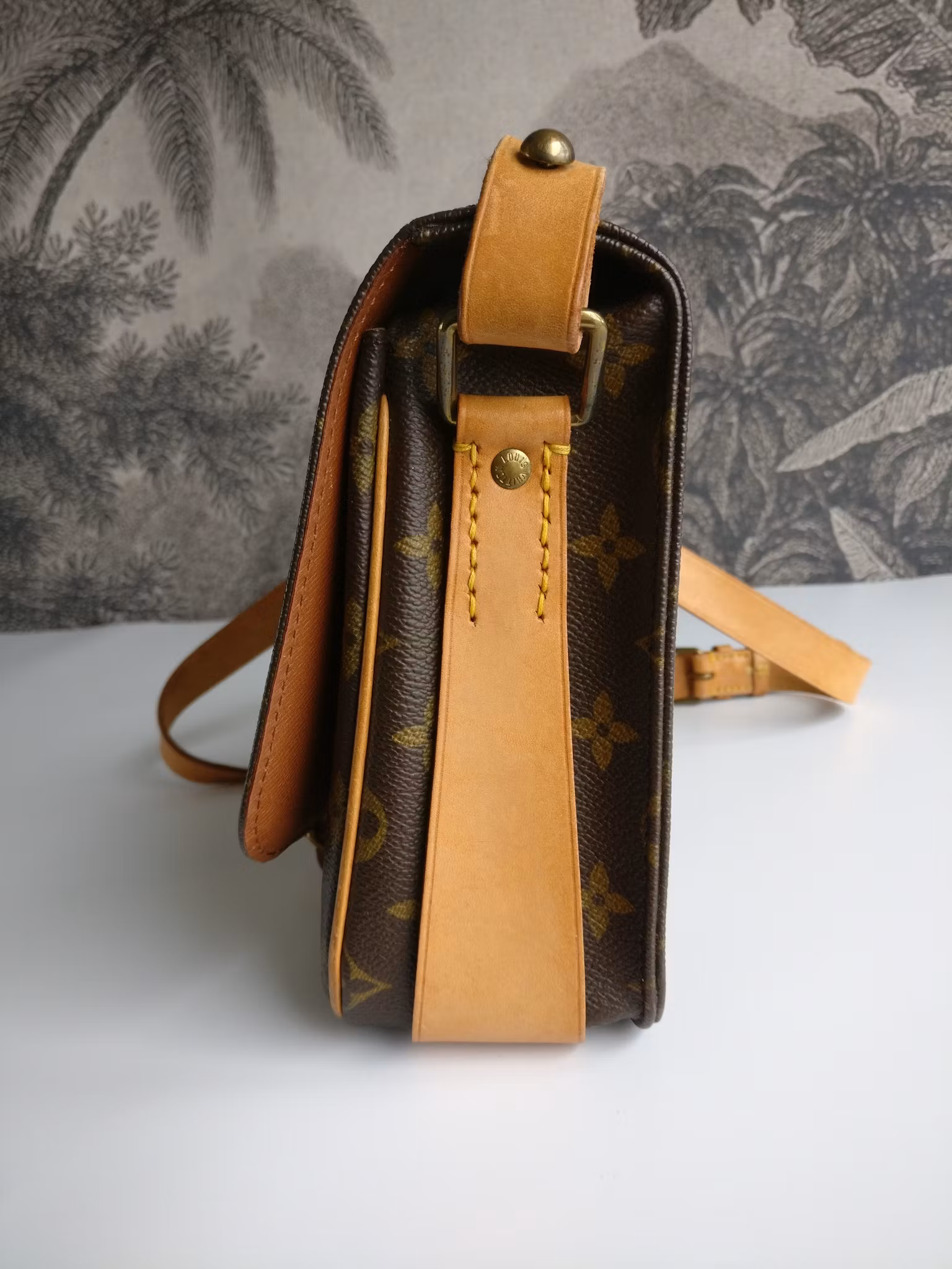 Louis Vuitton Cartouchiere MM