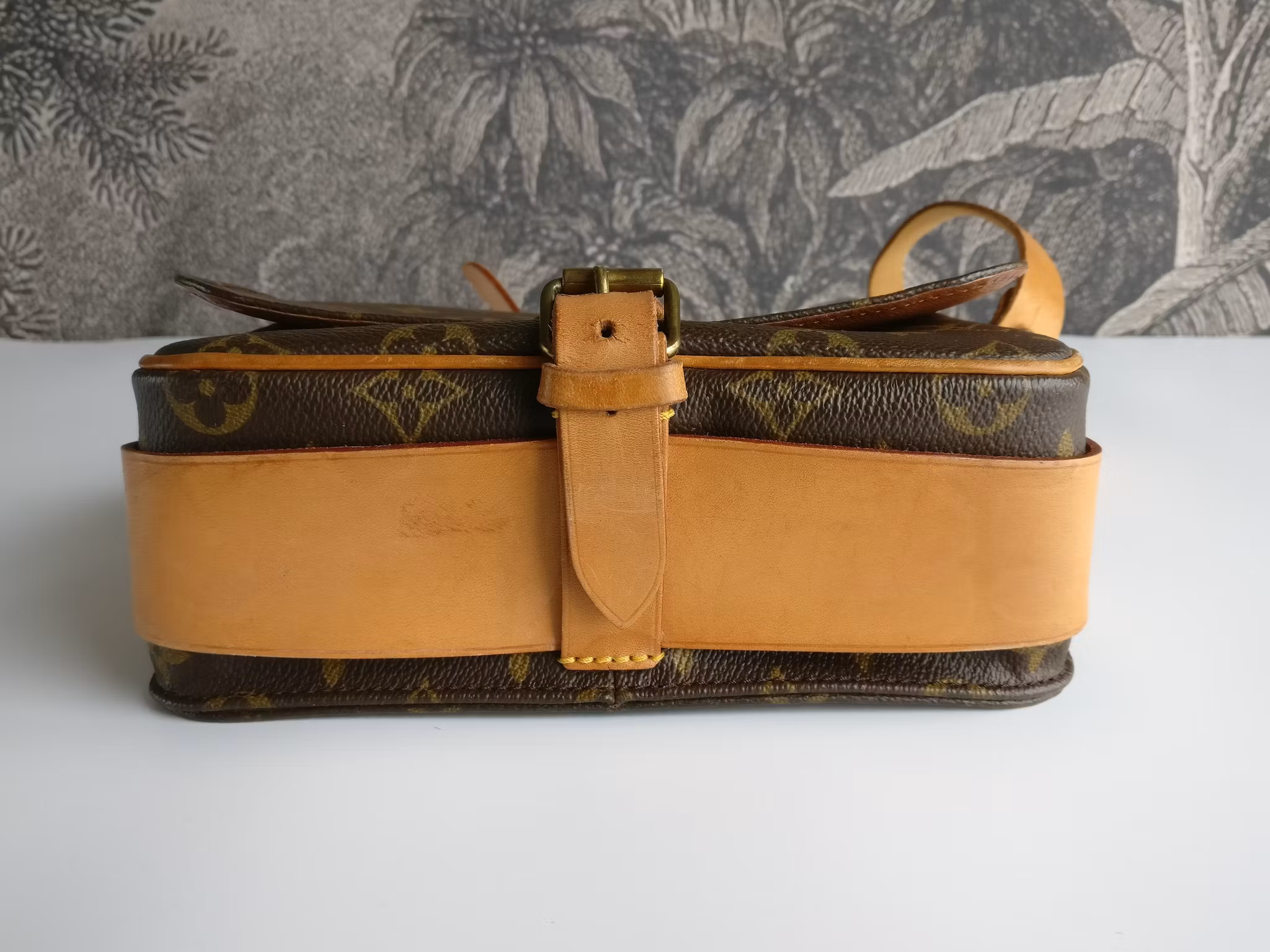 Louis Vuitton Cartouchiere MM