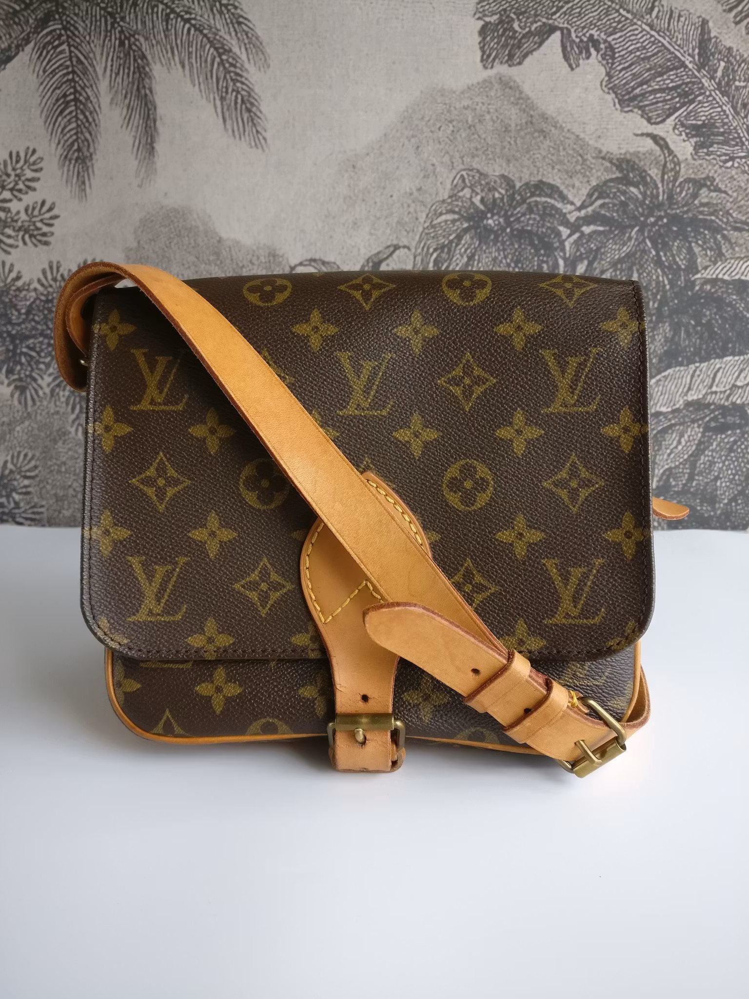 Louis Vuitton Cartouchiere MM