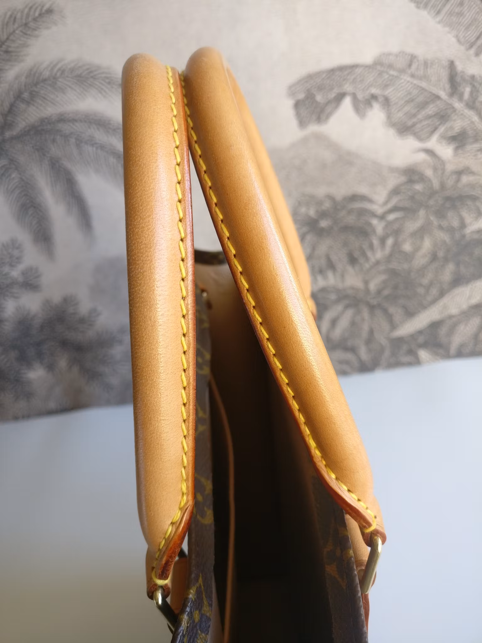 Louis Vuitton Sac Plat