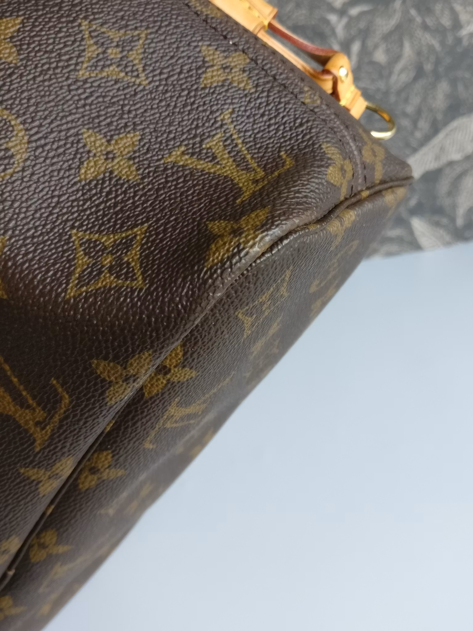 Louis Vuitton Neverfull PM