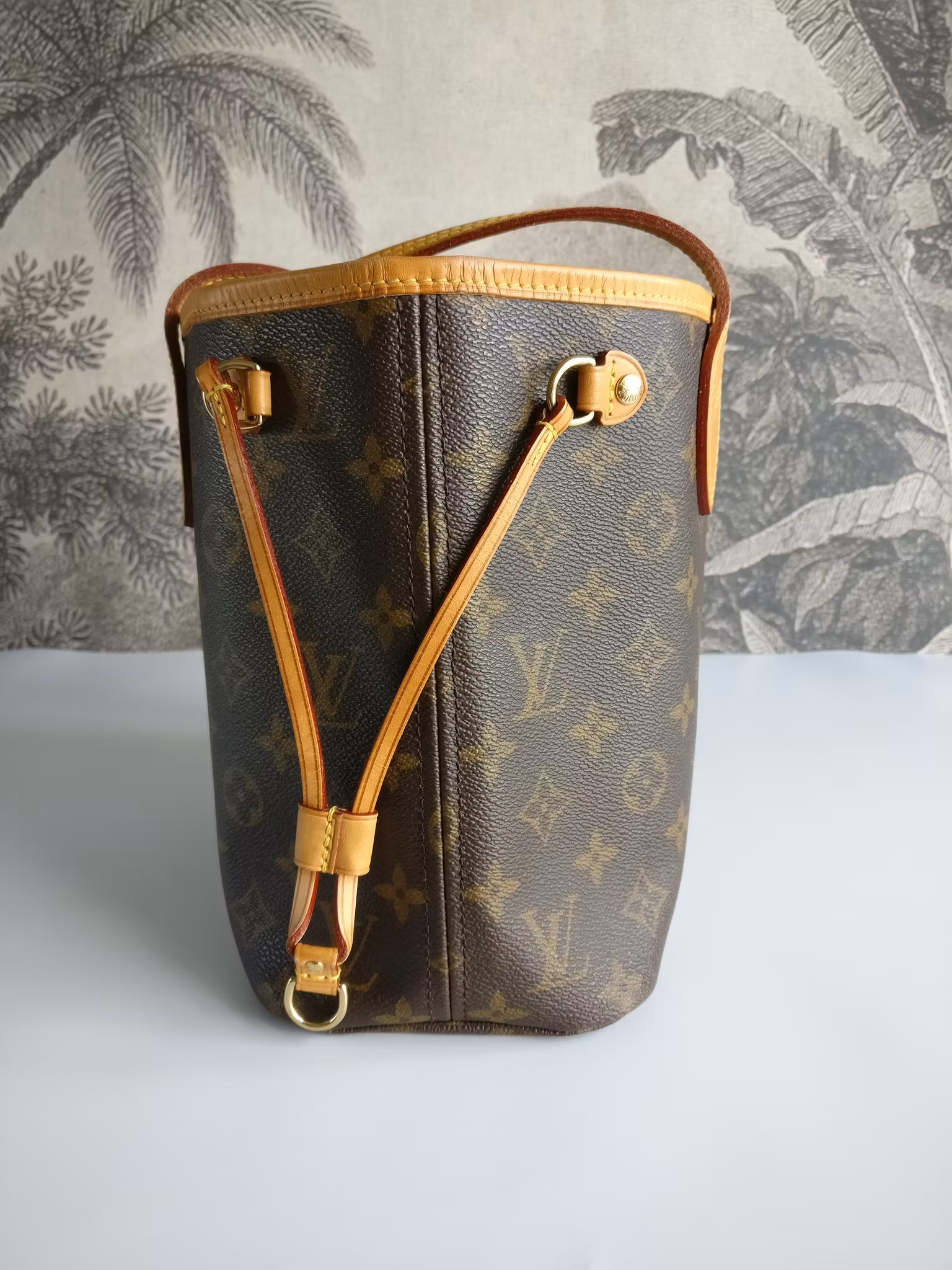 Louis Vuitton Neverfull PM