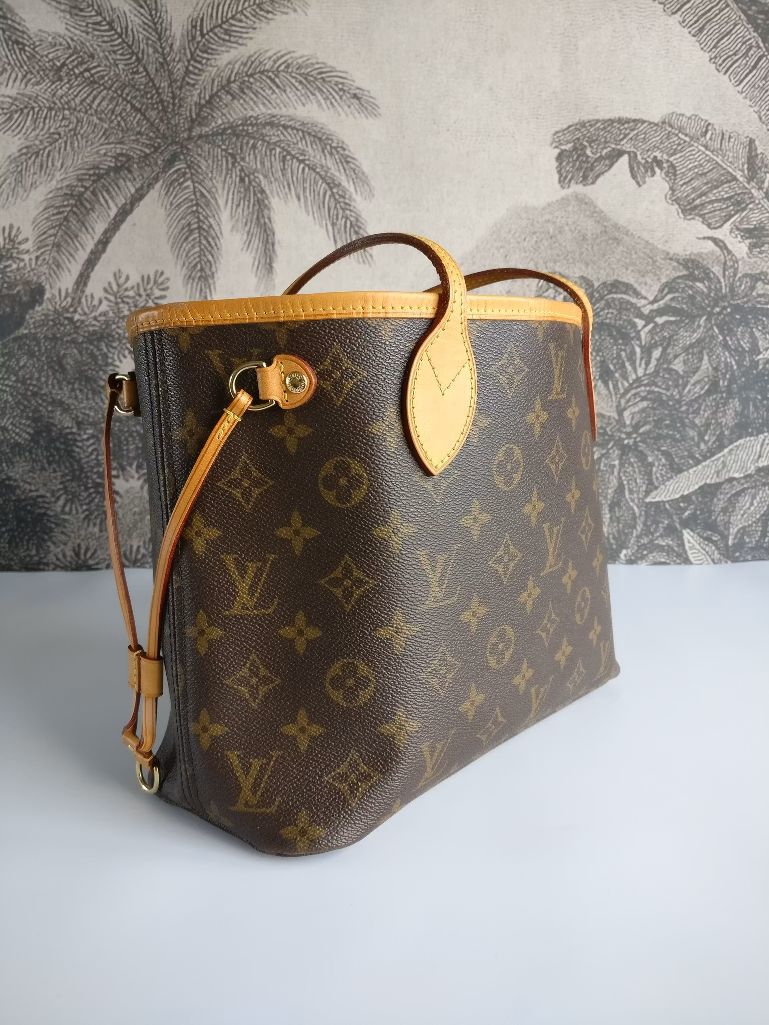 Louis Vuitton Neverfull PM