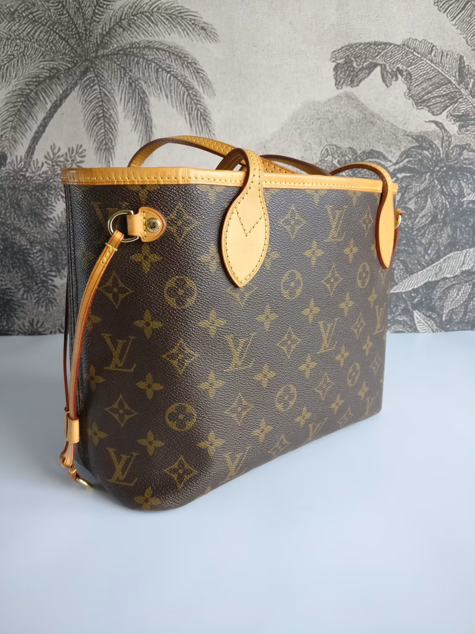 Louis Vuitton Neverfull PM