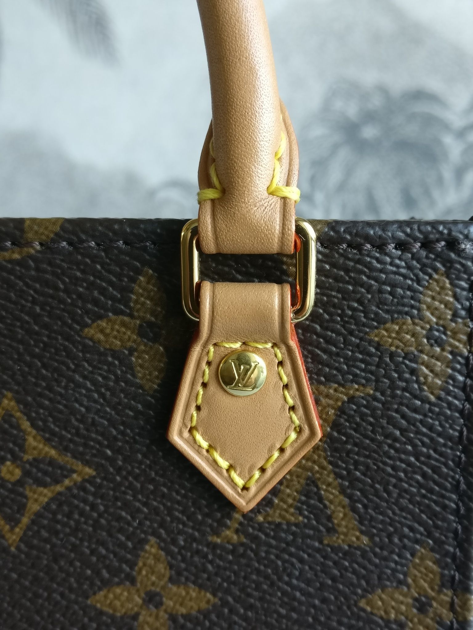 Louis Vuitton Petit Sac Plat