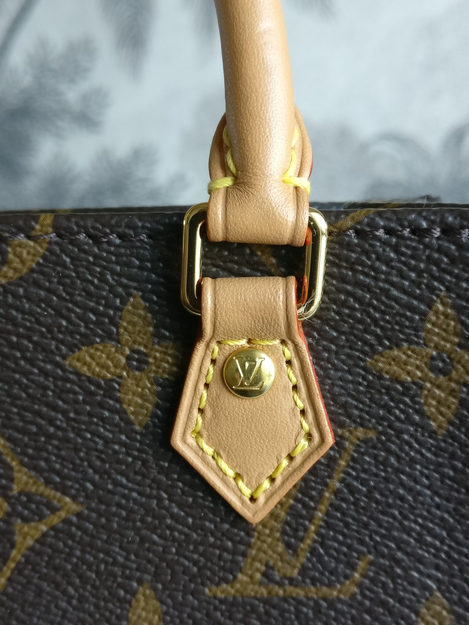 Louis Vuitton Petit Sac Plat