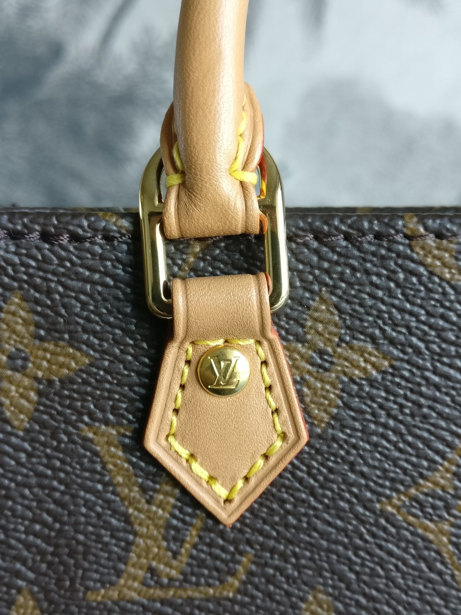 Louis Vuitton Petit Sac Plat