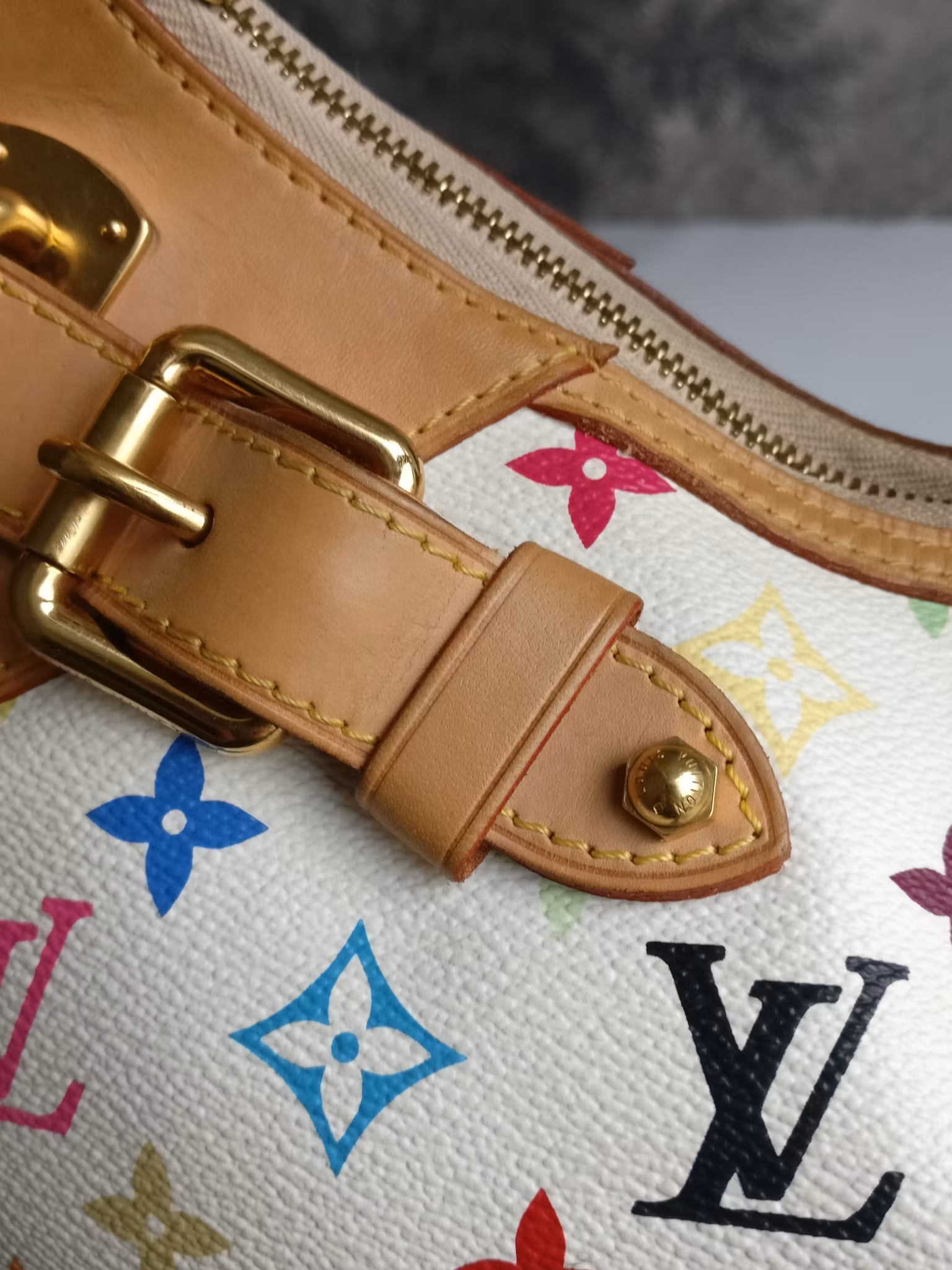 Louis Vuitton multicolore Greta