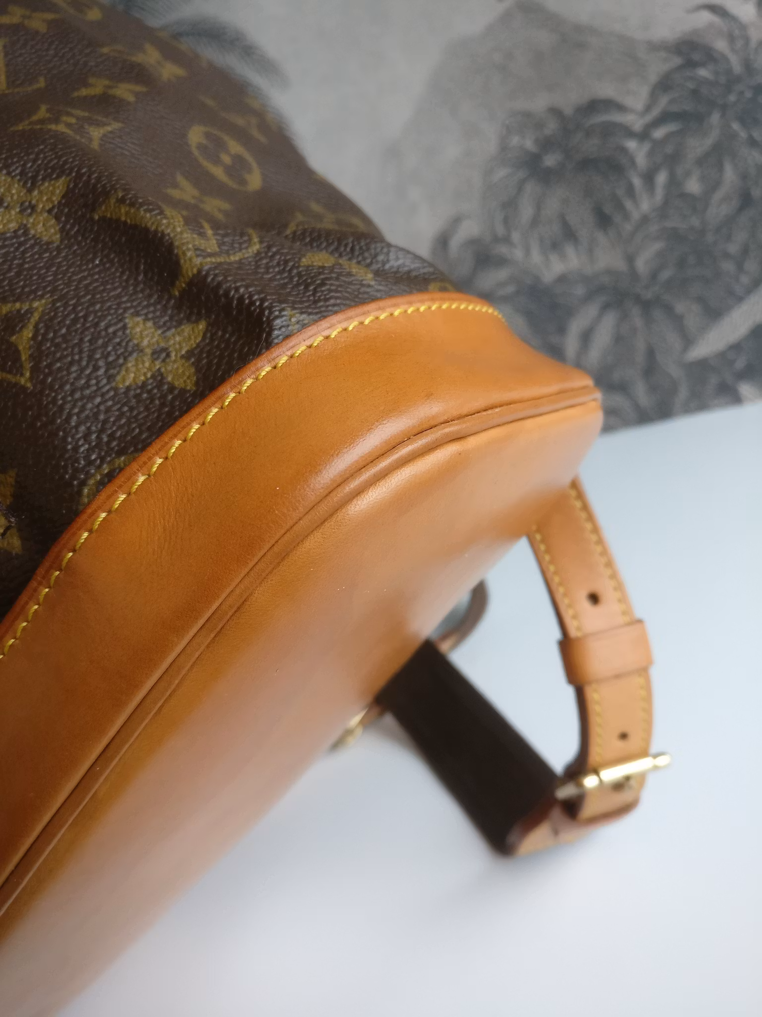 Louis Vuitton Montsouris GM backpack