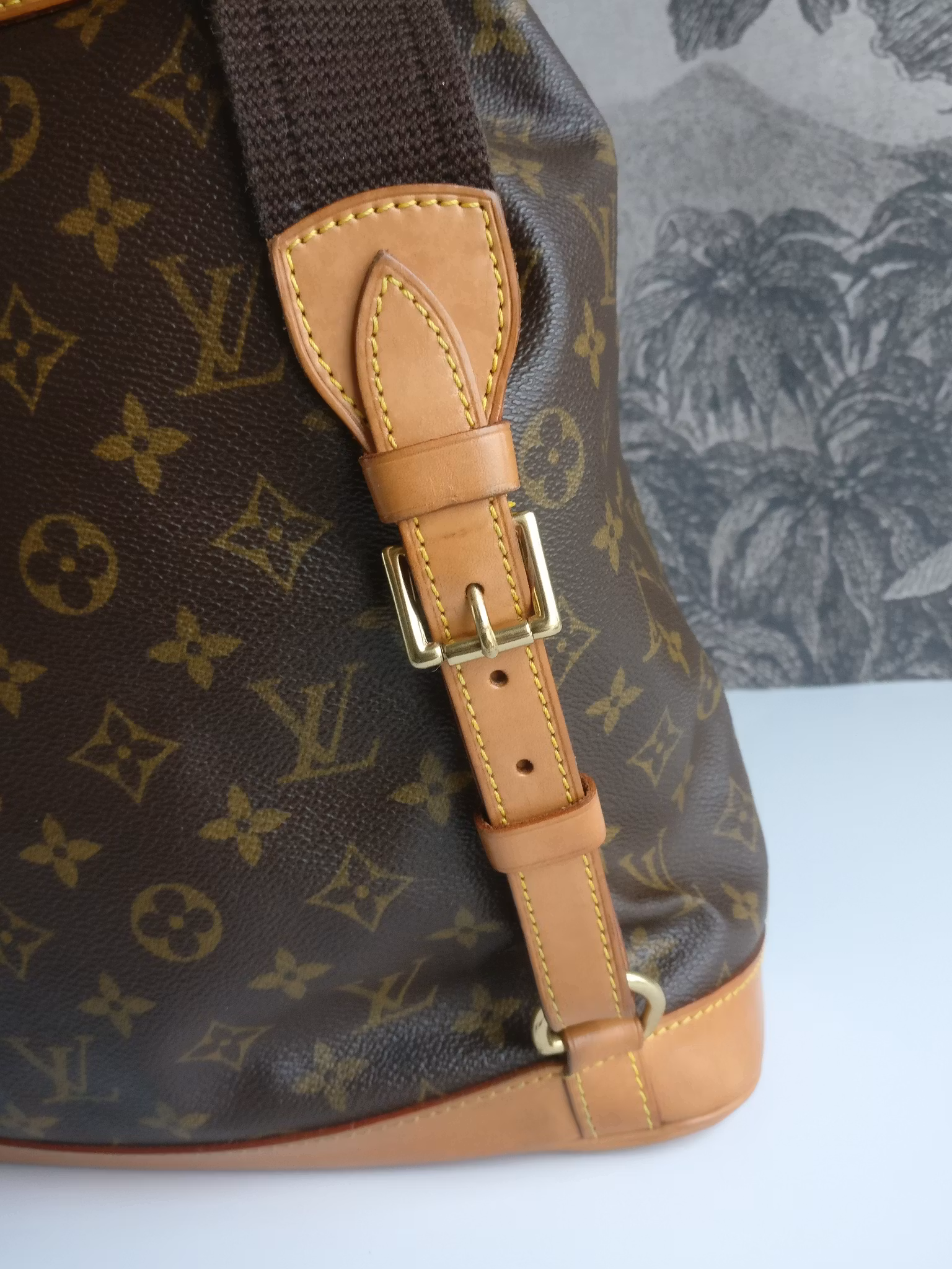 Louis Vuitton Montsouris GM backpack