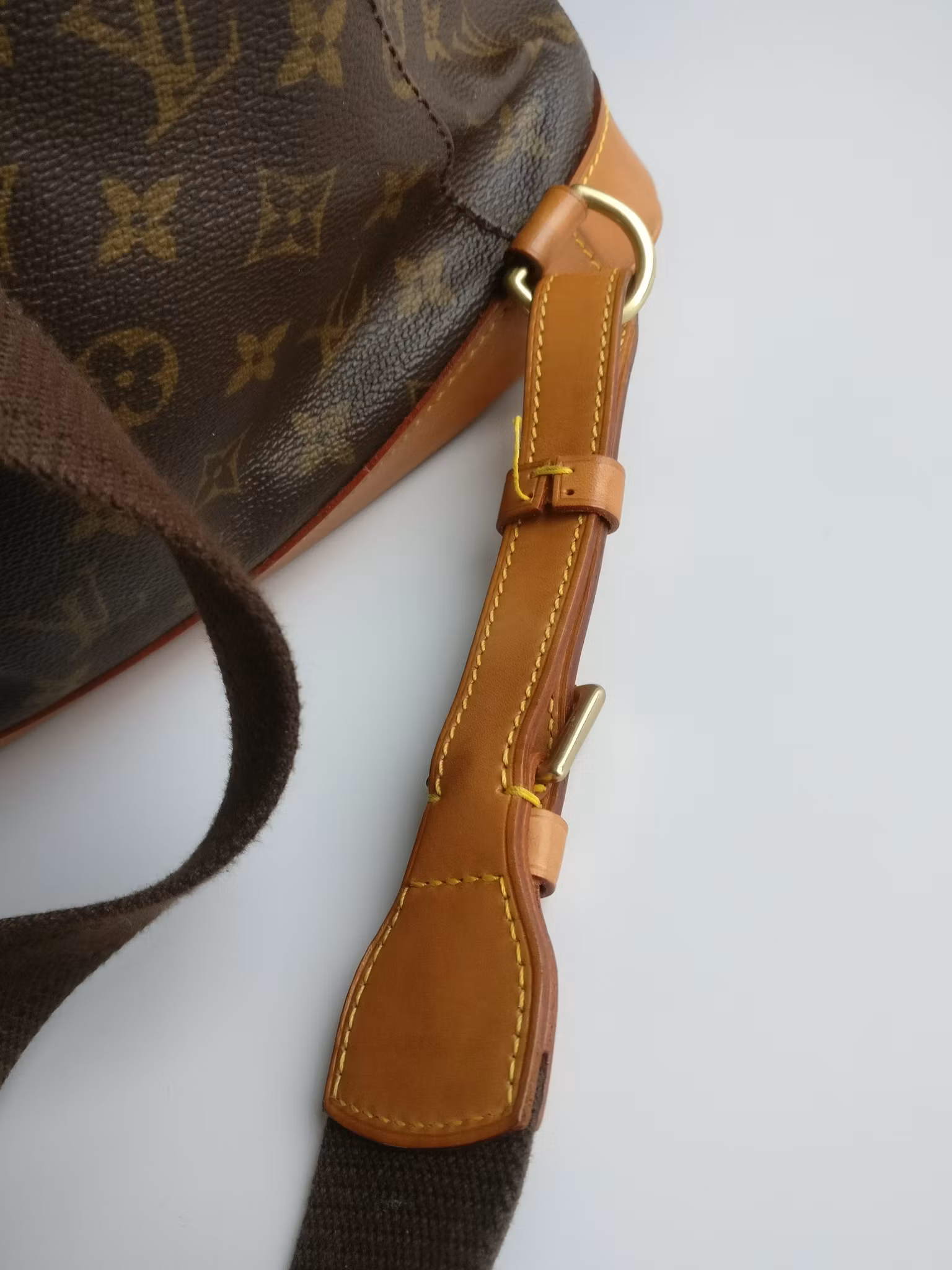 Louis Vuitton Montsouris GM backpack