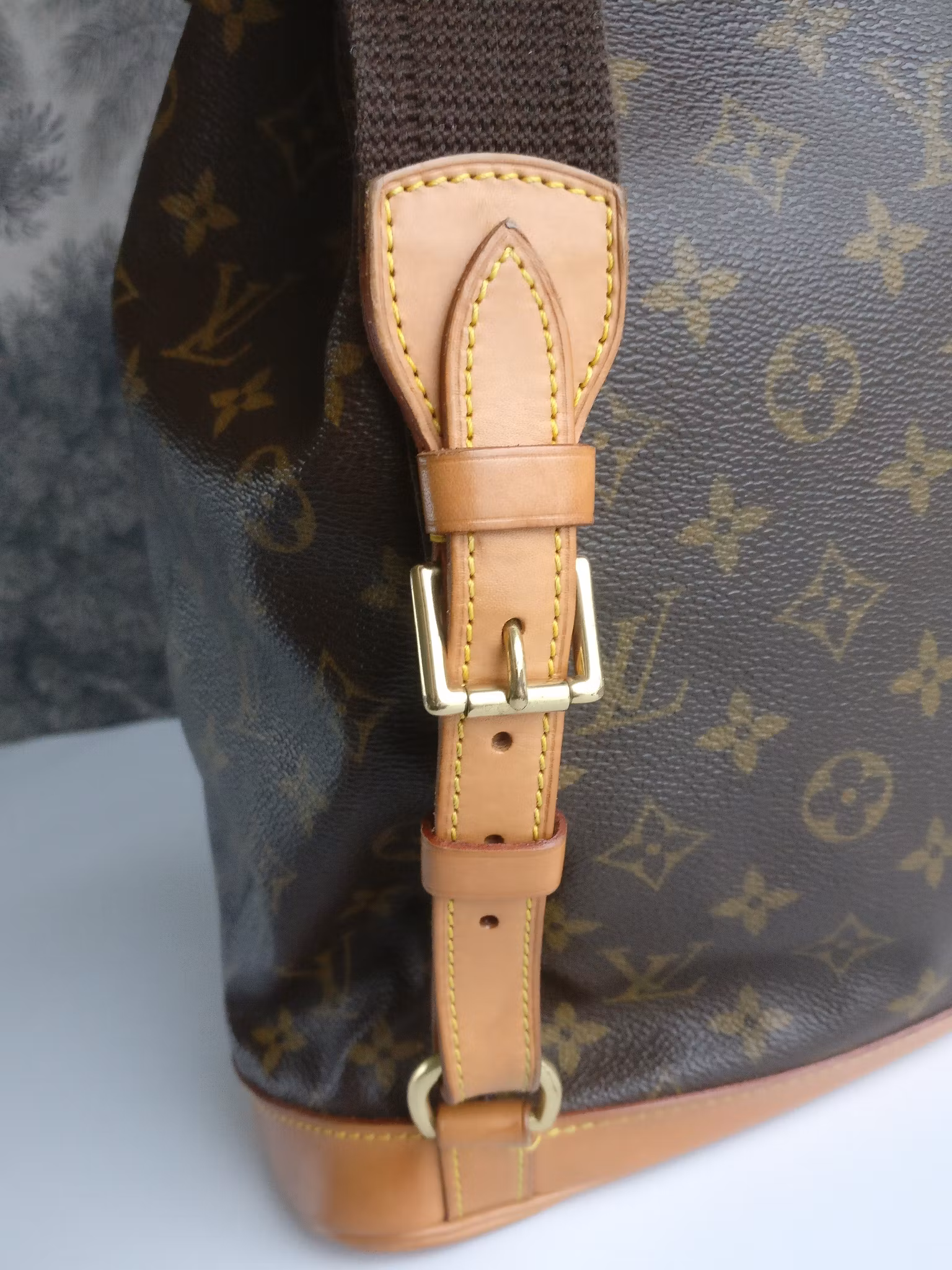Louis Vuitton Montsouris GM backpack