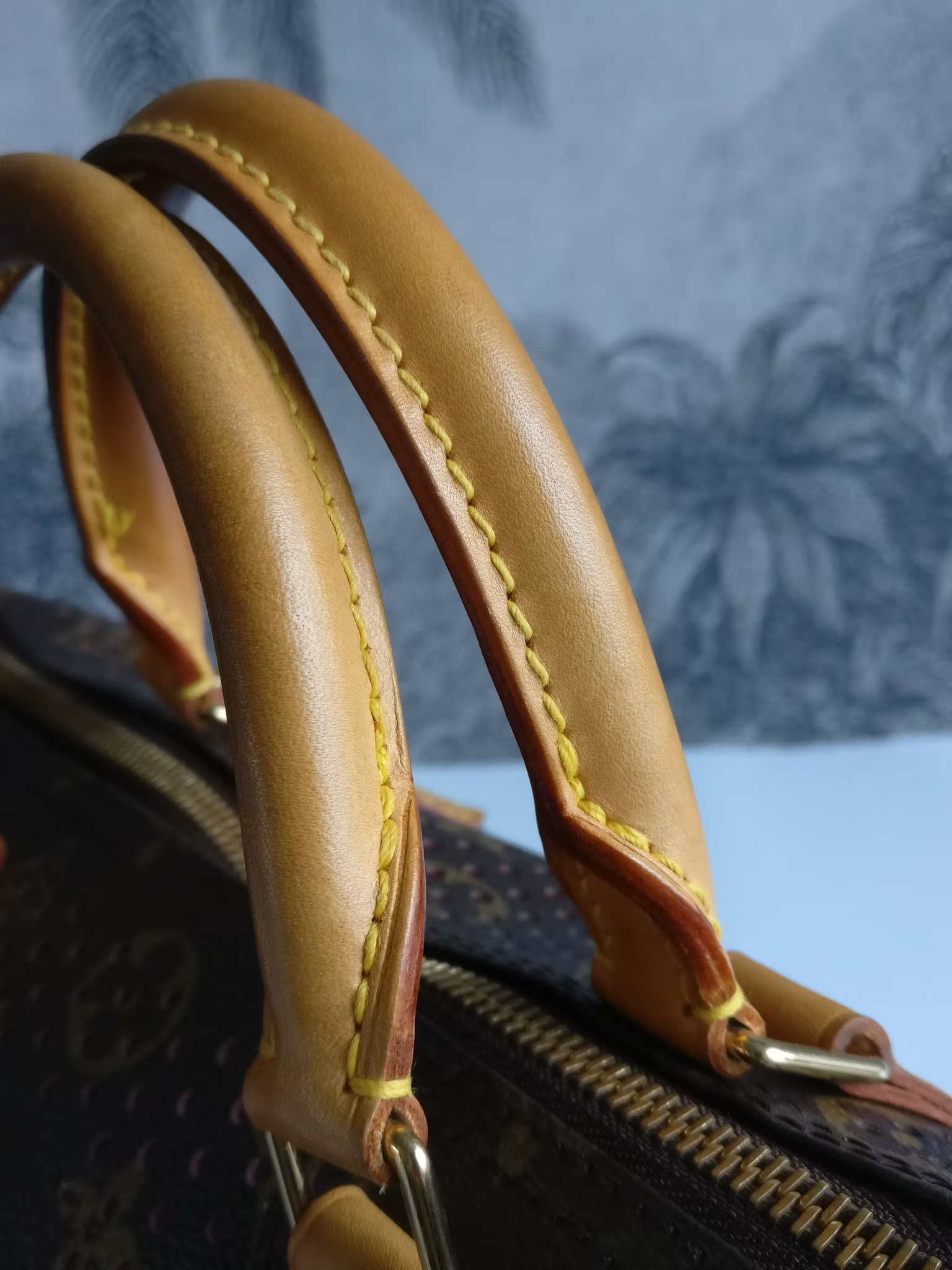 Louis Vuitton Speedy Perforated 30