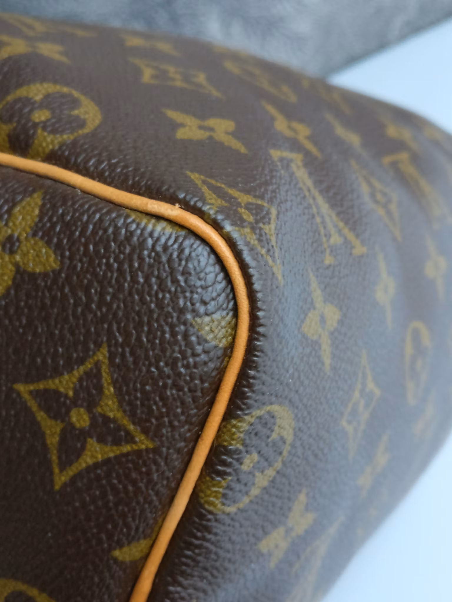Louis Vuitton Speedy 25