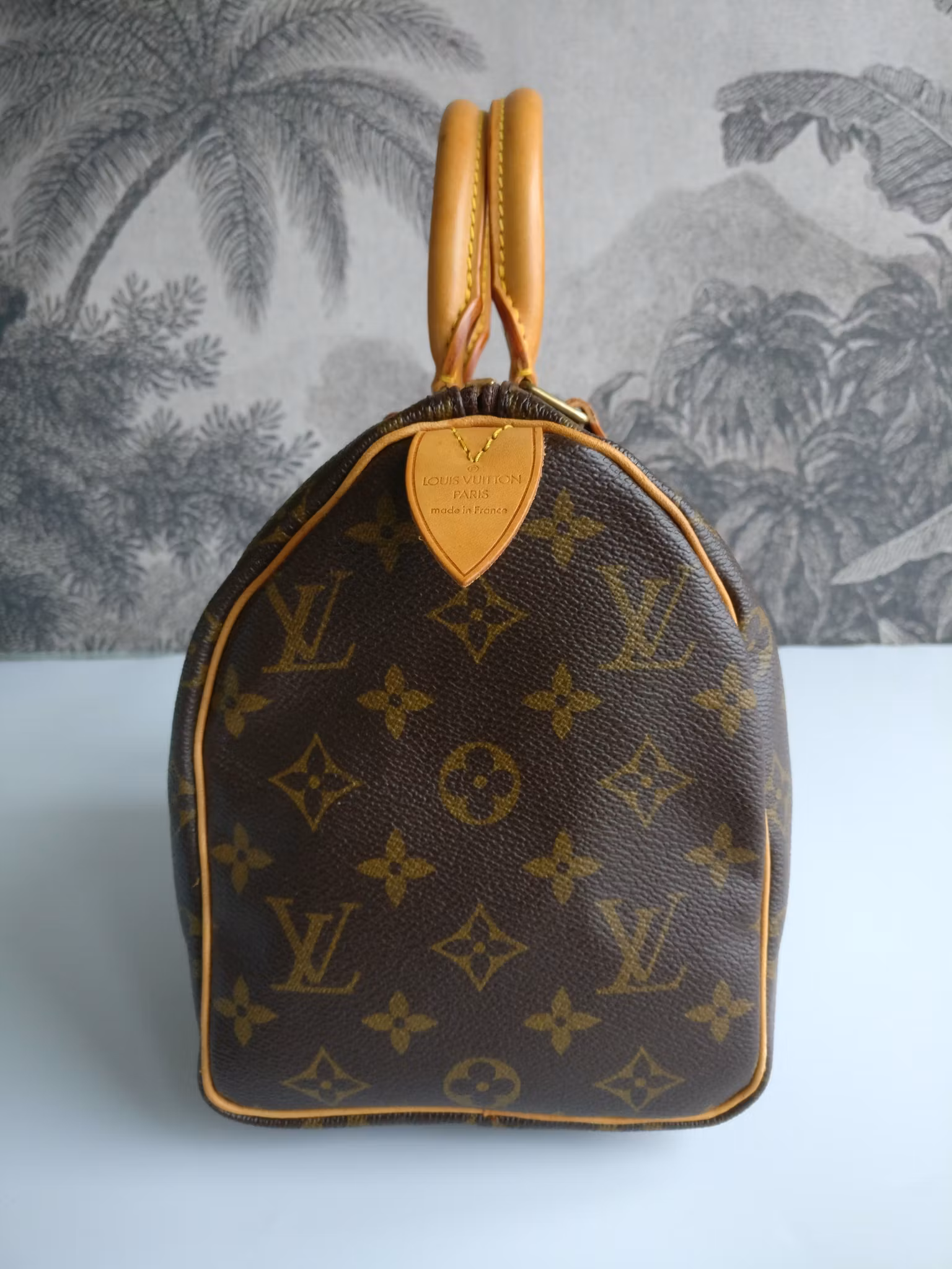 Louis Vuitton Speedy 25