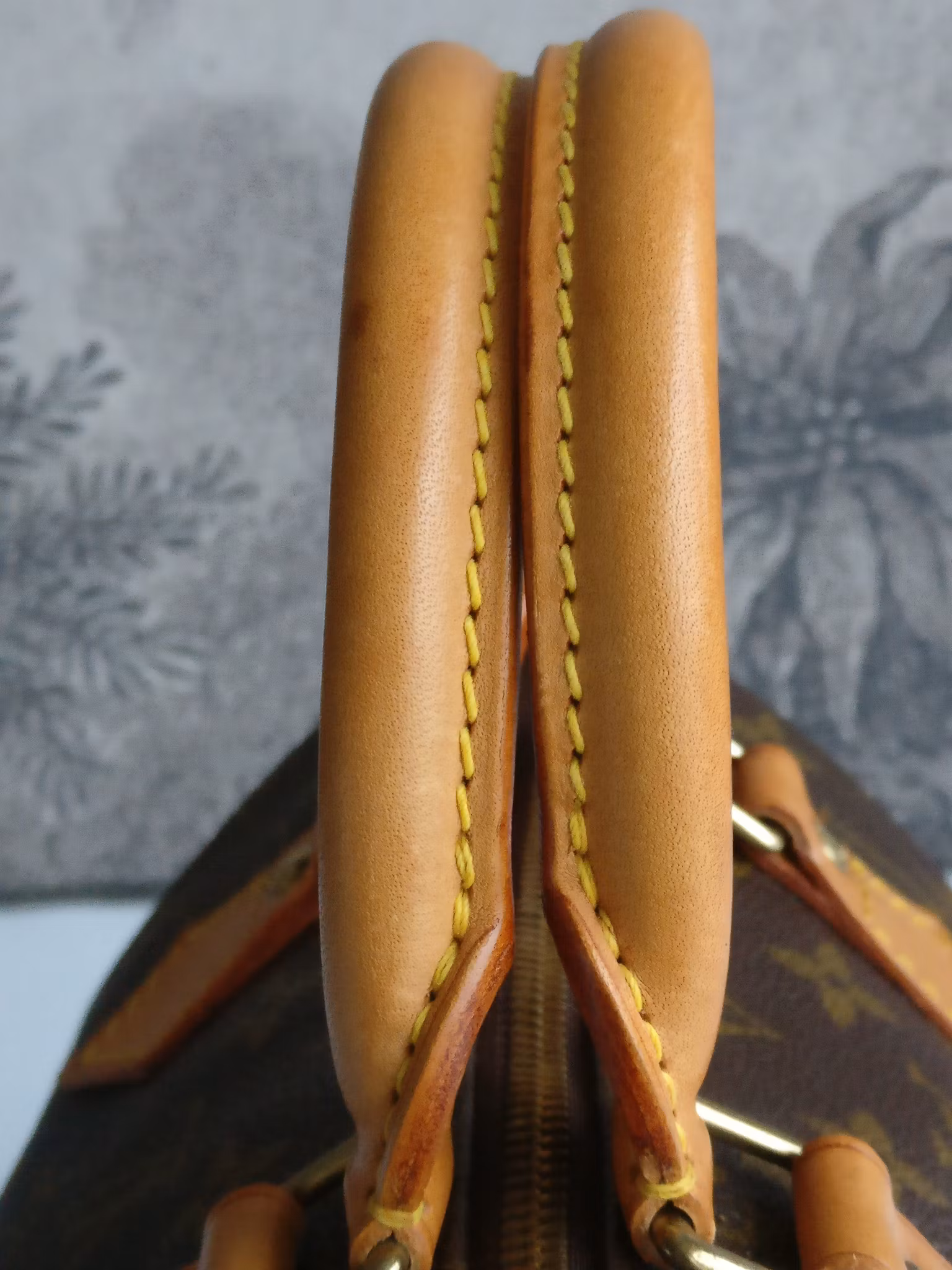 Louis Vuitton Speedy 25