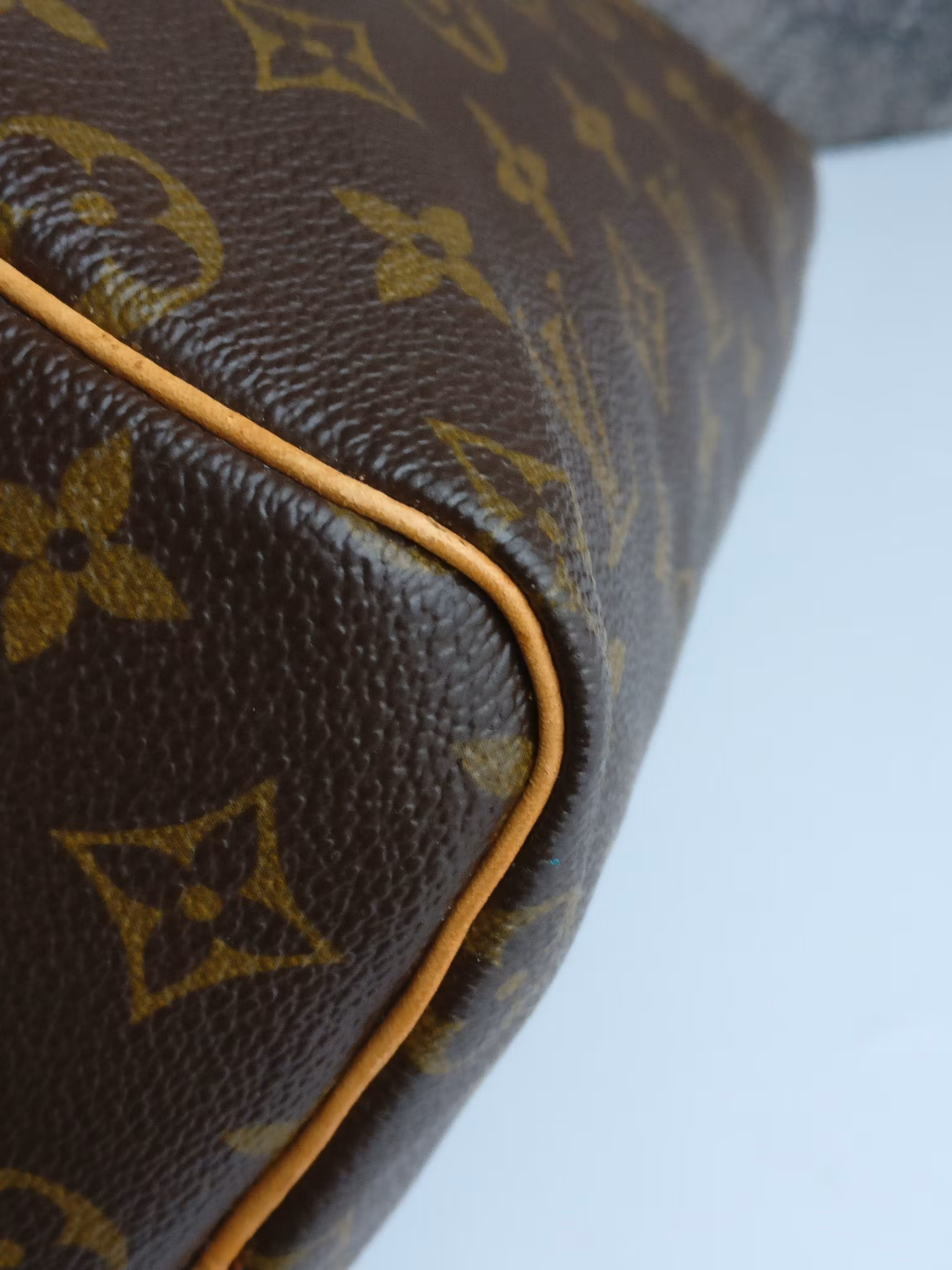 Louis Vuitton Speedy 25