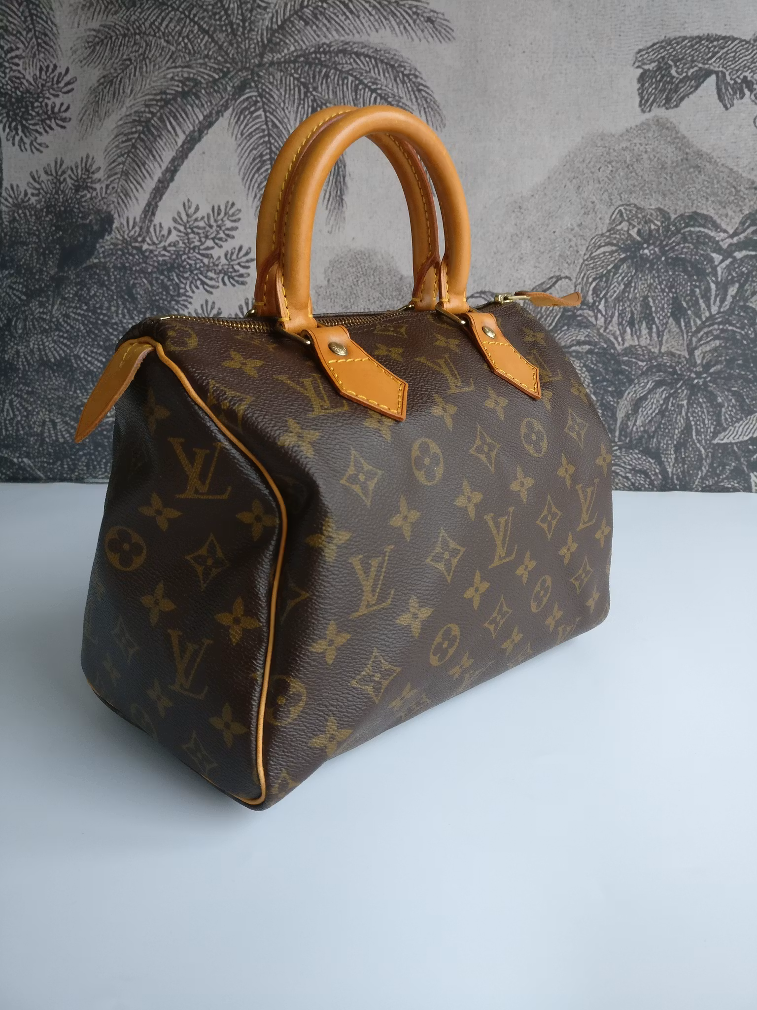 Louis Vuitton Speedy 25