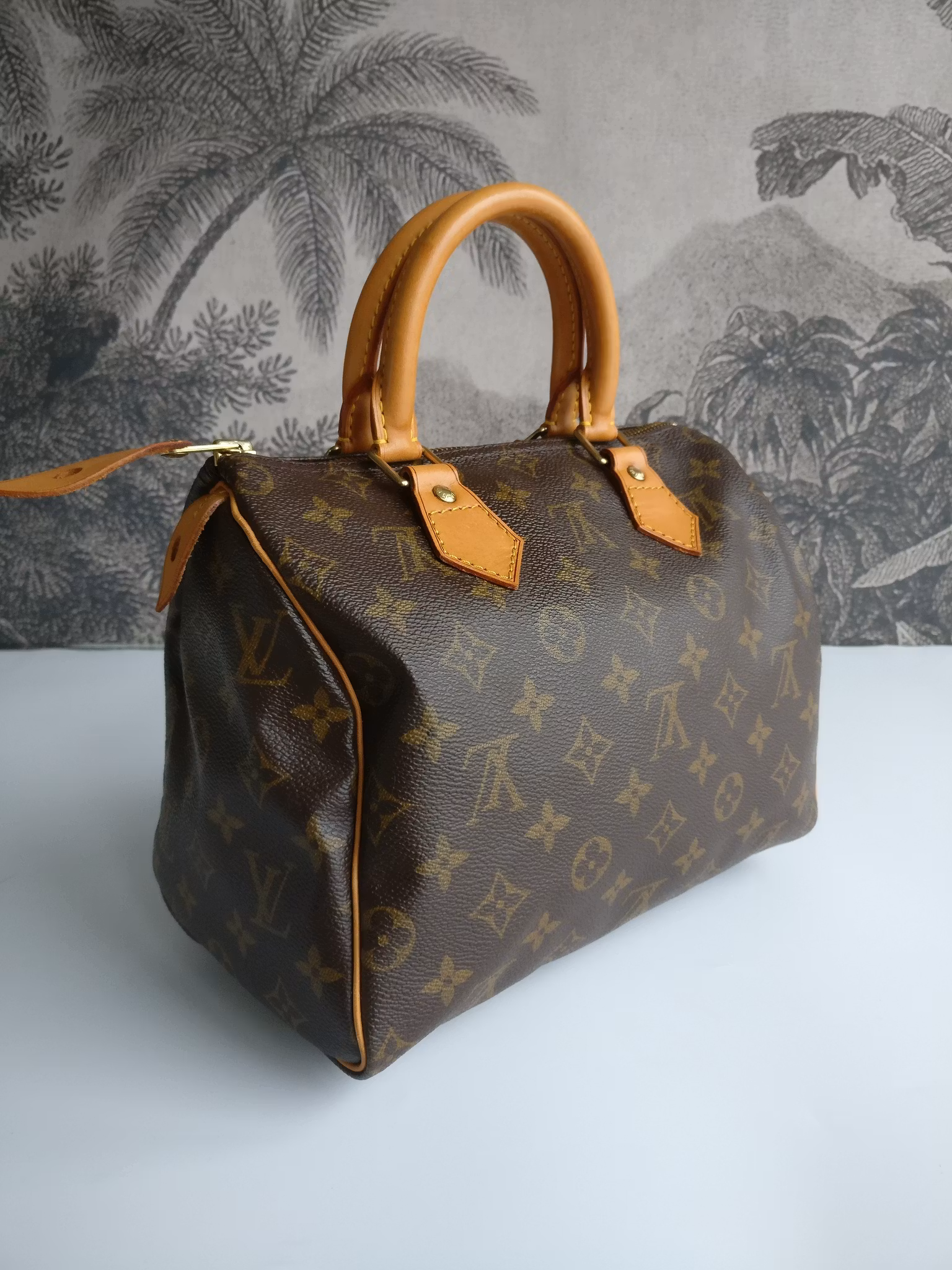 Louis Vuitton Speedy 25