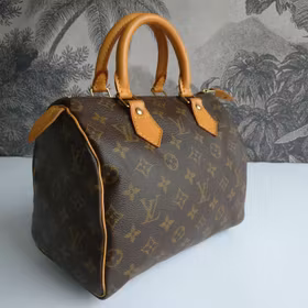 Louis Vuitton Speedy 25