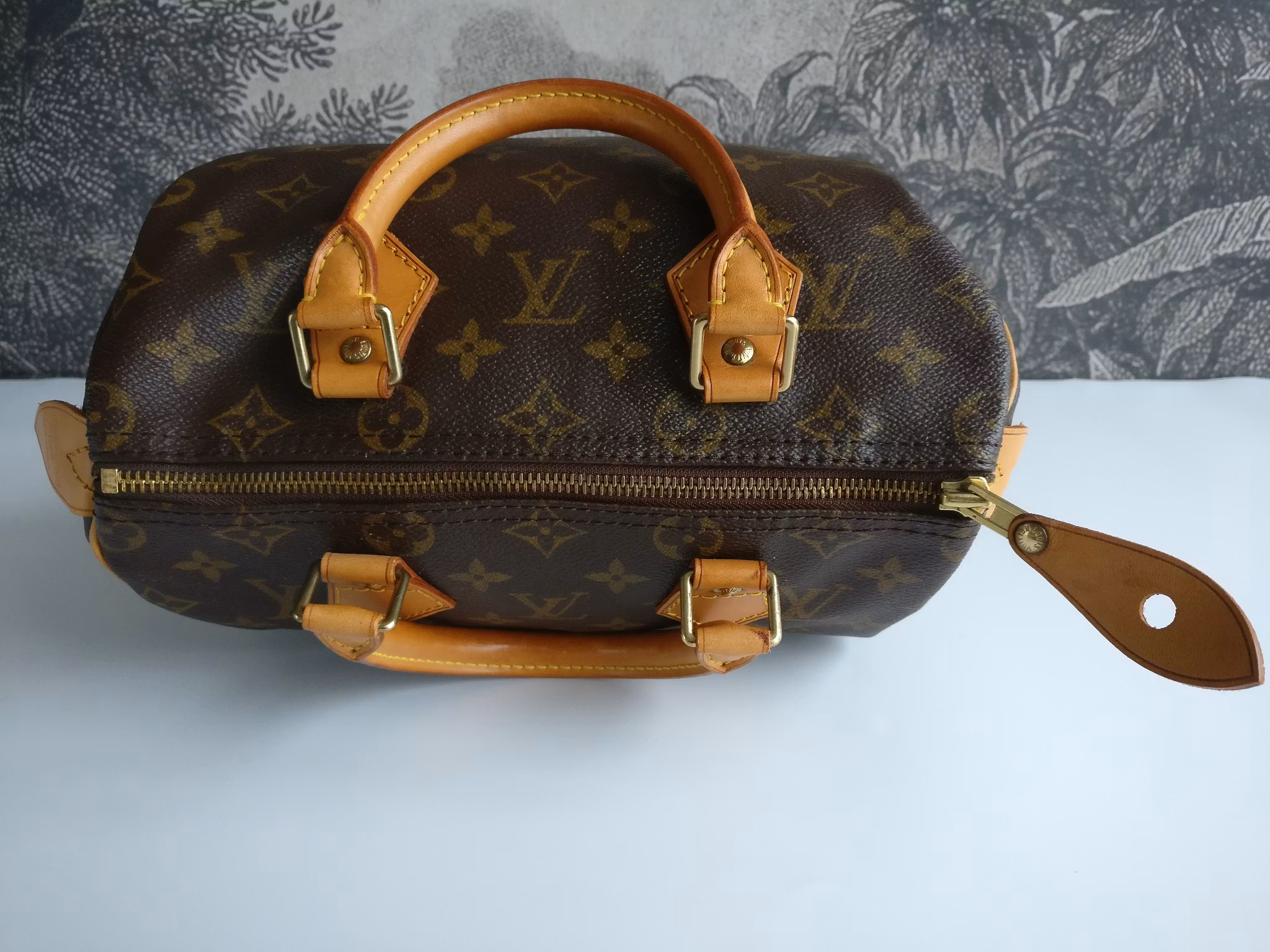 Louis Vuitton Speedy 25