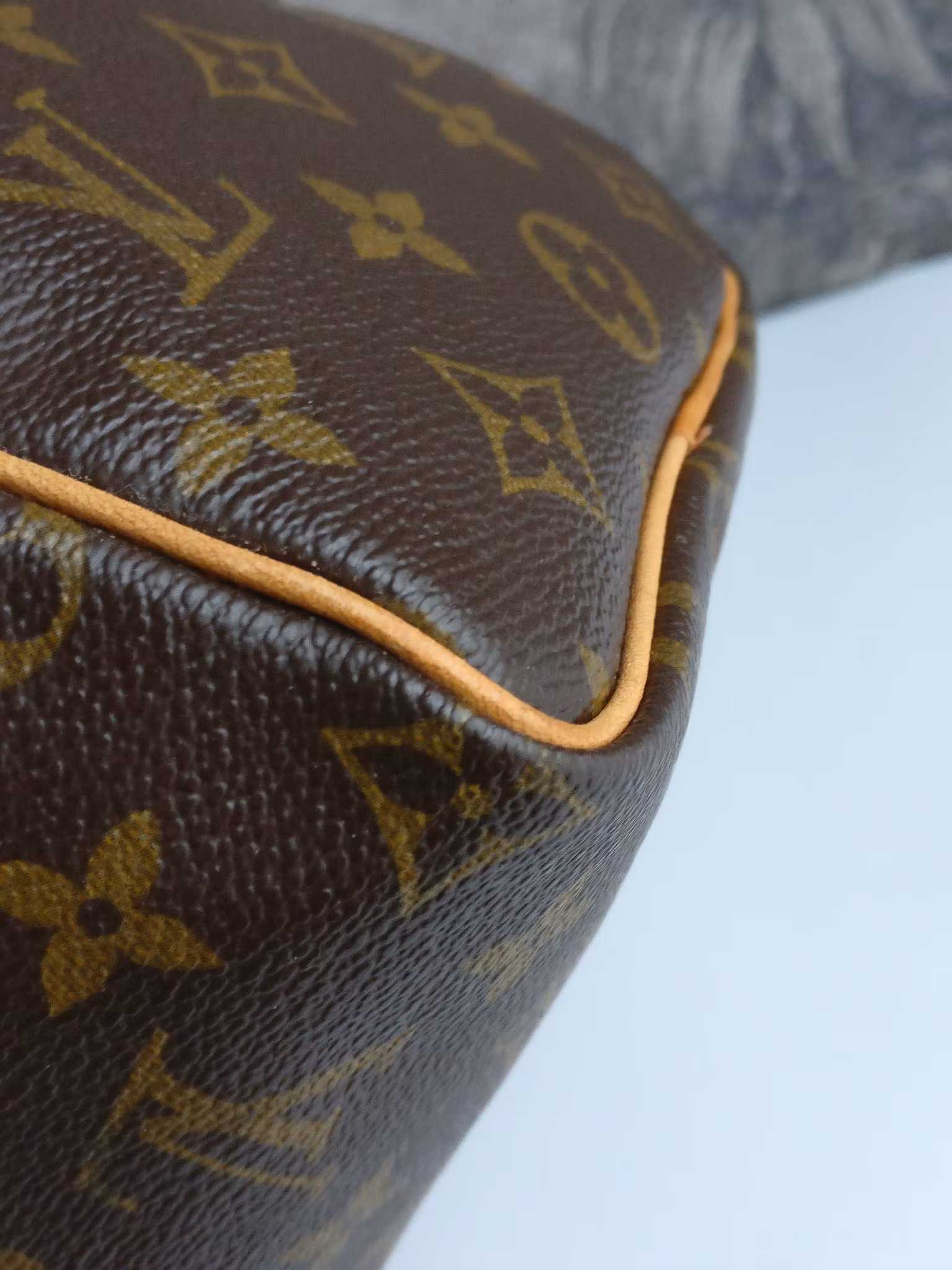 Louis Vuitton Speedy 25