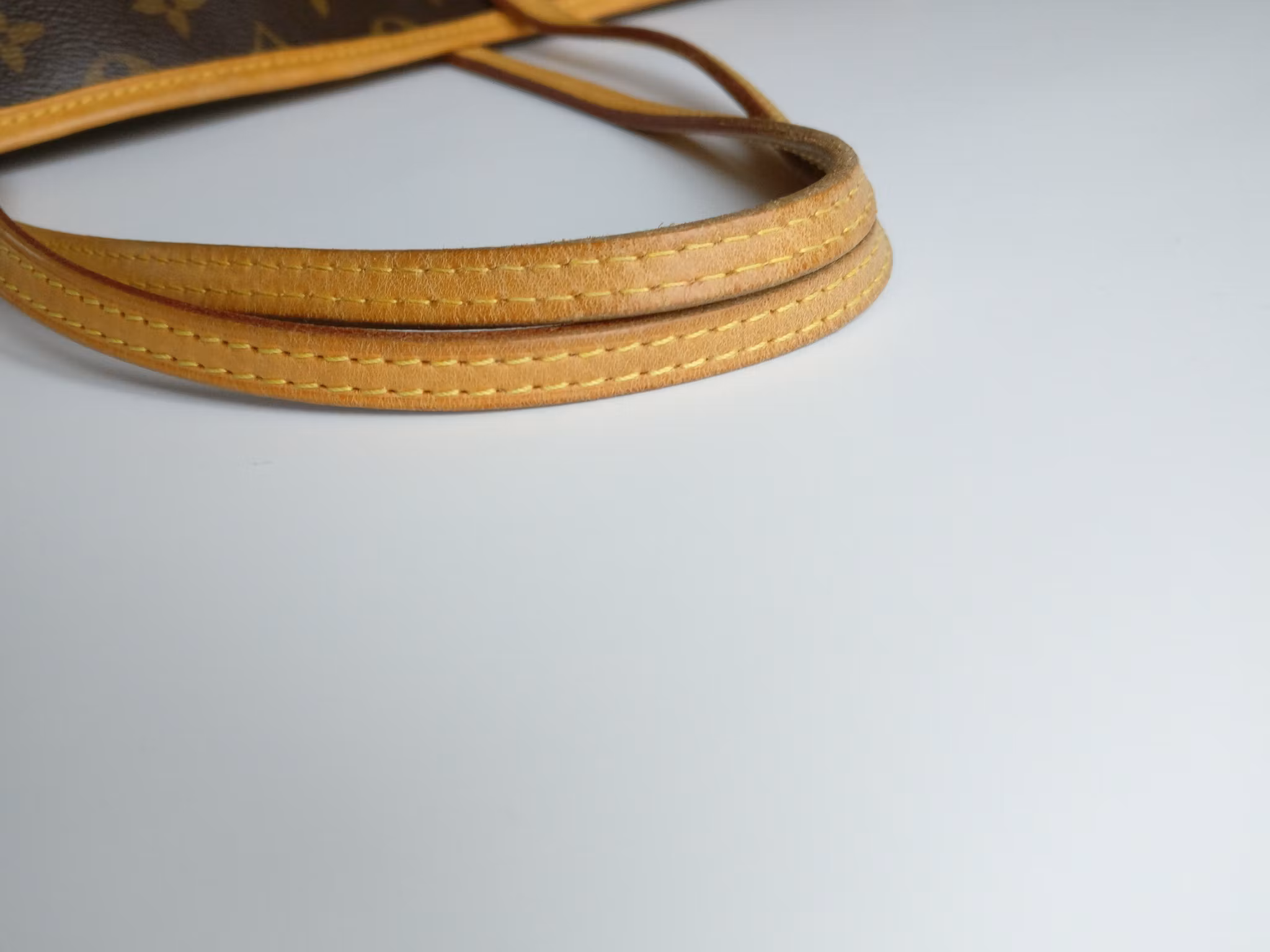 Louis Vuitton Neo Neverfull GM Piment