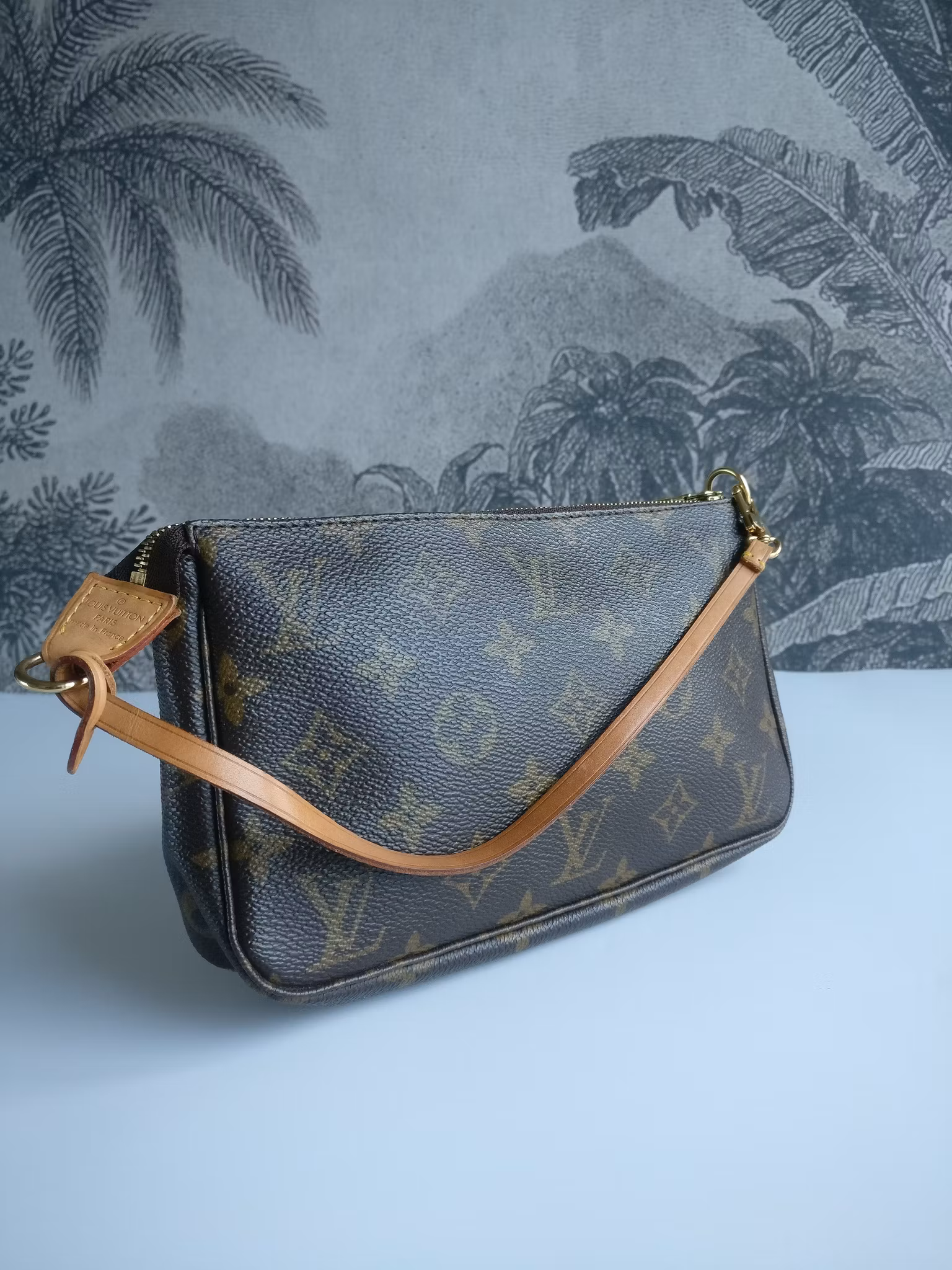 Louis Vuitton Pochette Accessoires