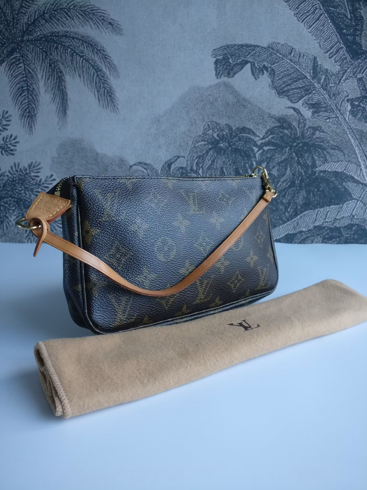 Louis Vuitton Pochette Accessoires
