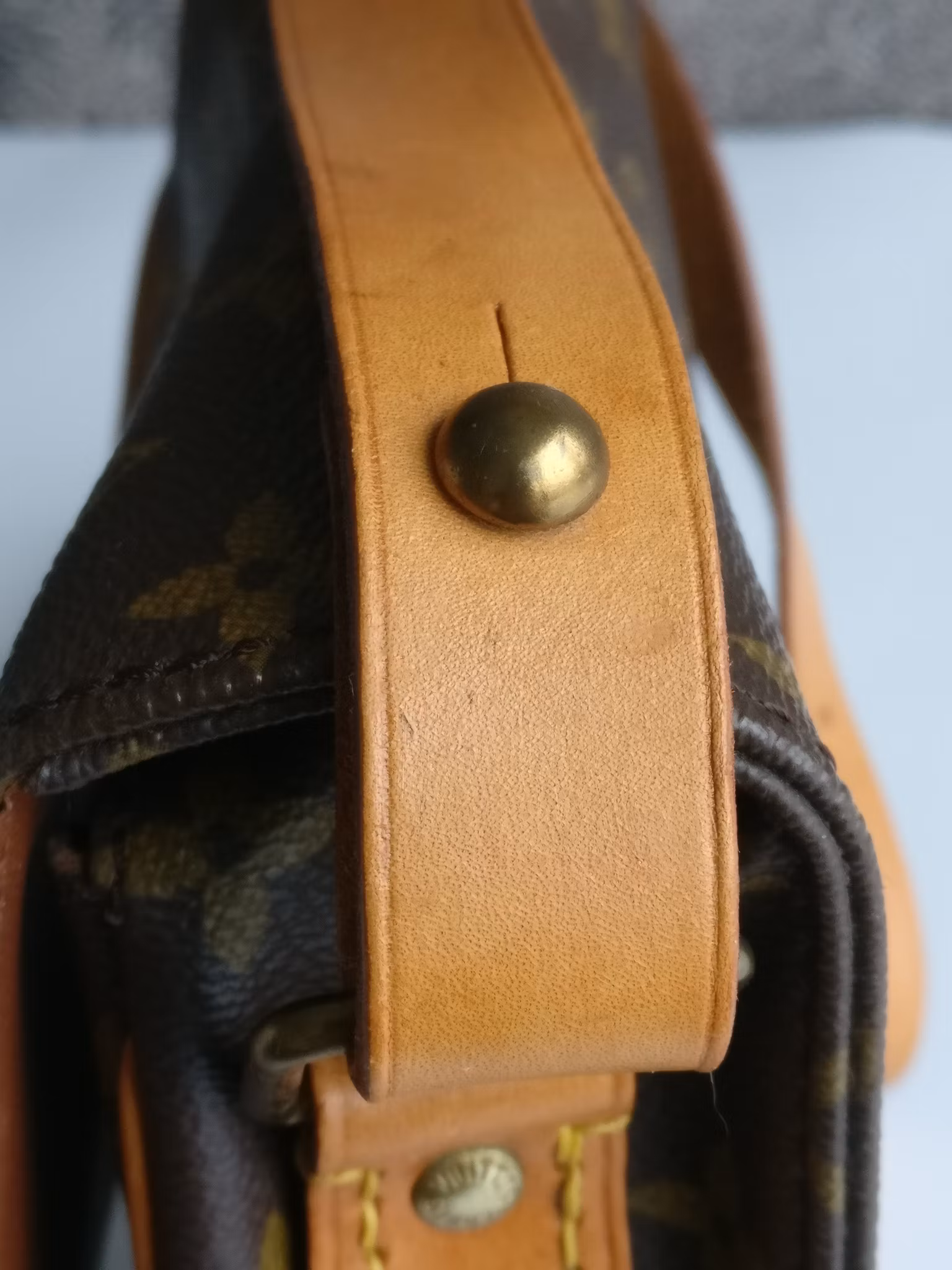 Louis Vuitton Cartouchiere MM