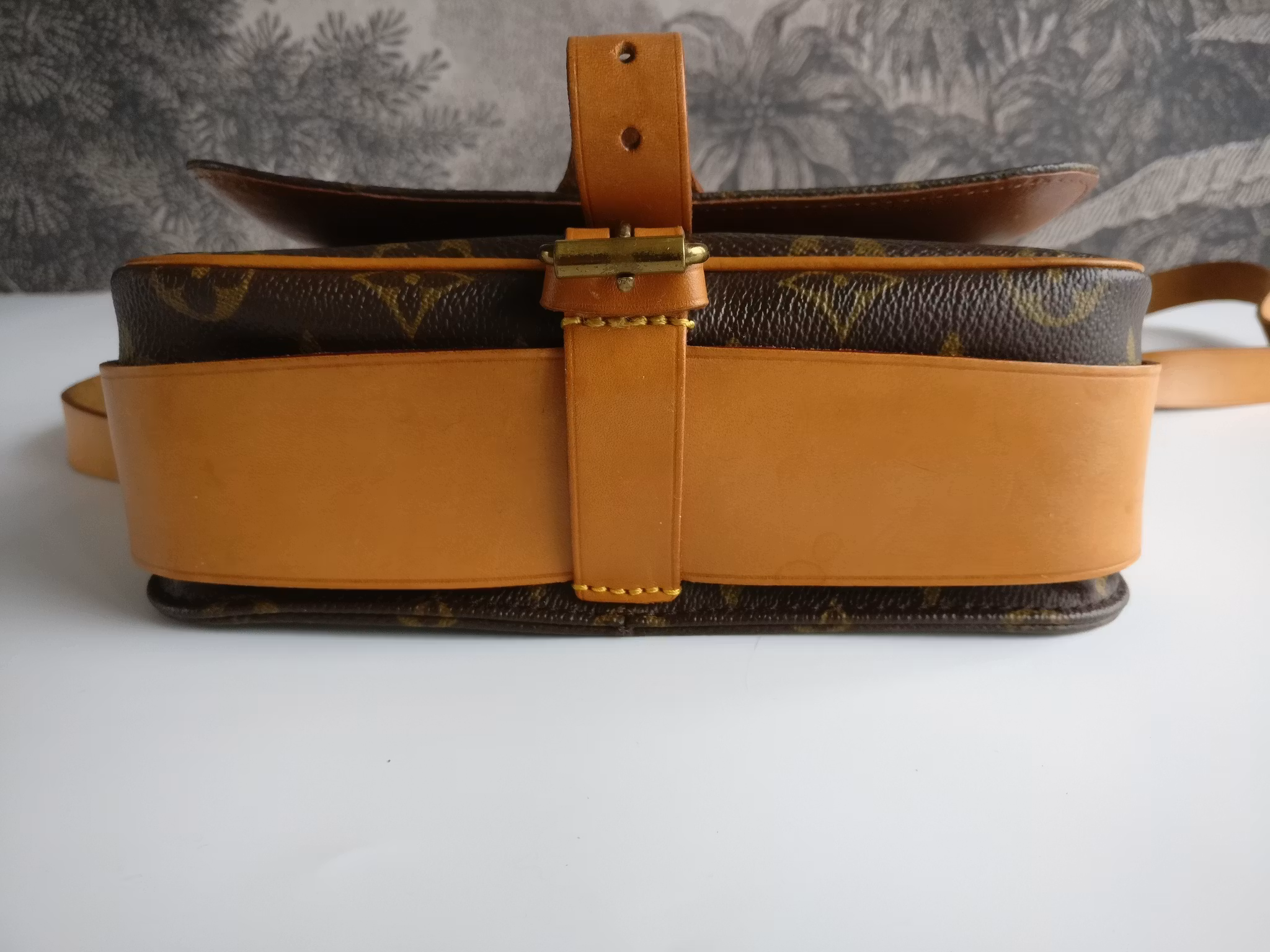 Louis Vuitton Cartouchiere MM