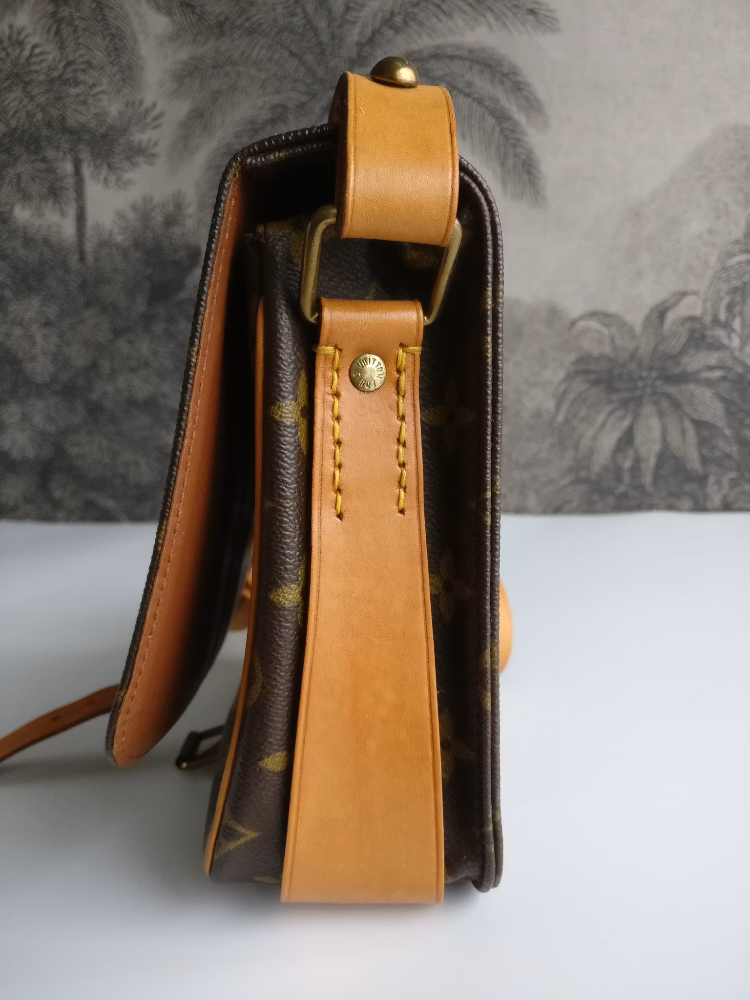 Louis Vuitton Cartouchiere MM