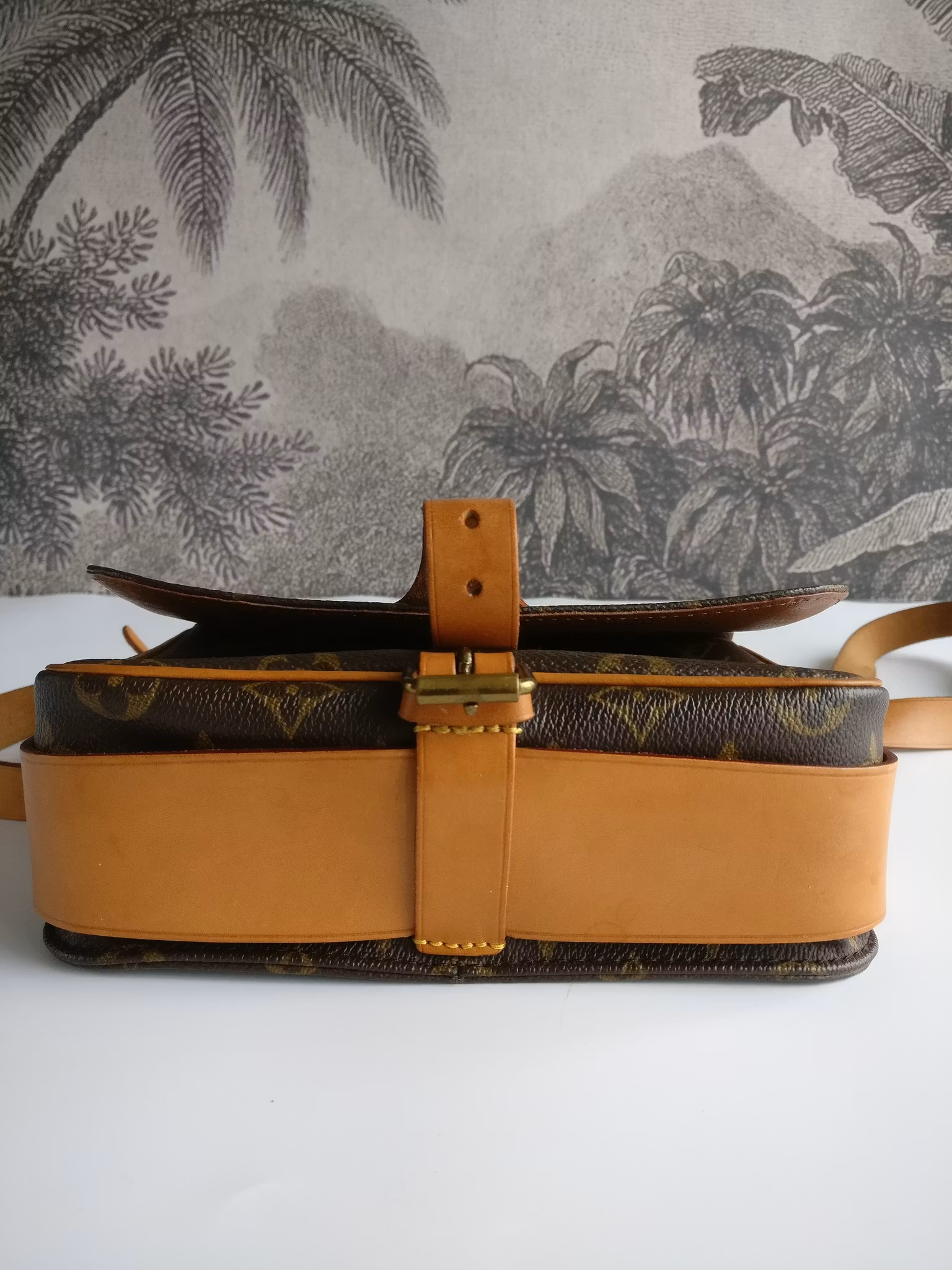 Louis Vuitton Cartouchiere MM
