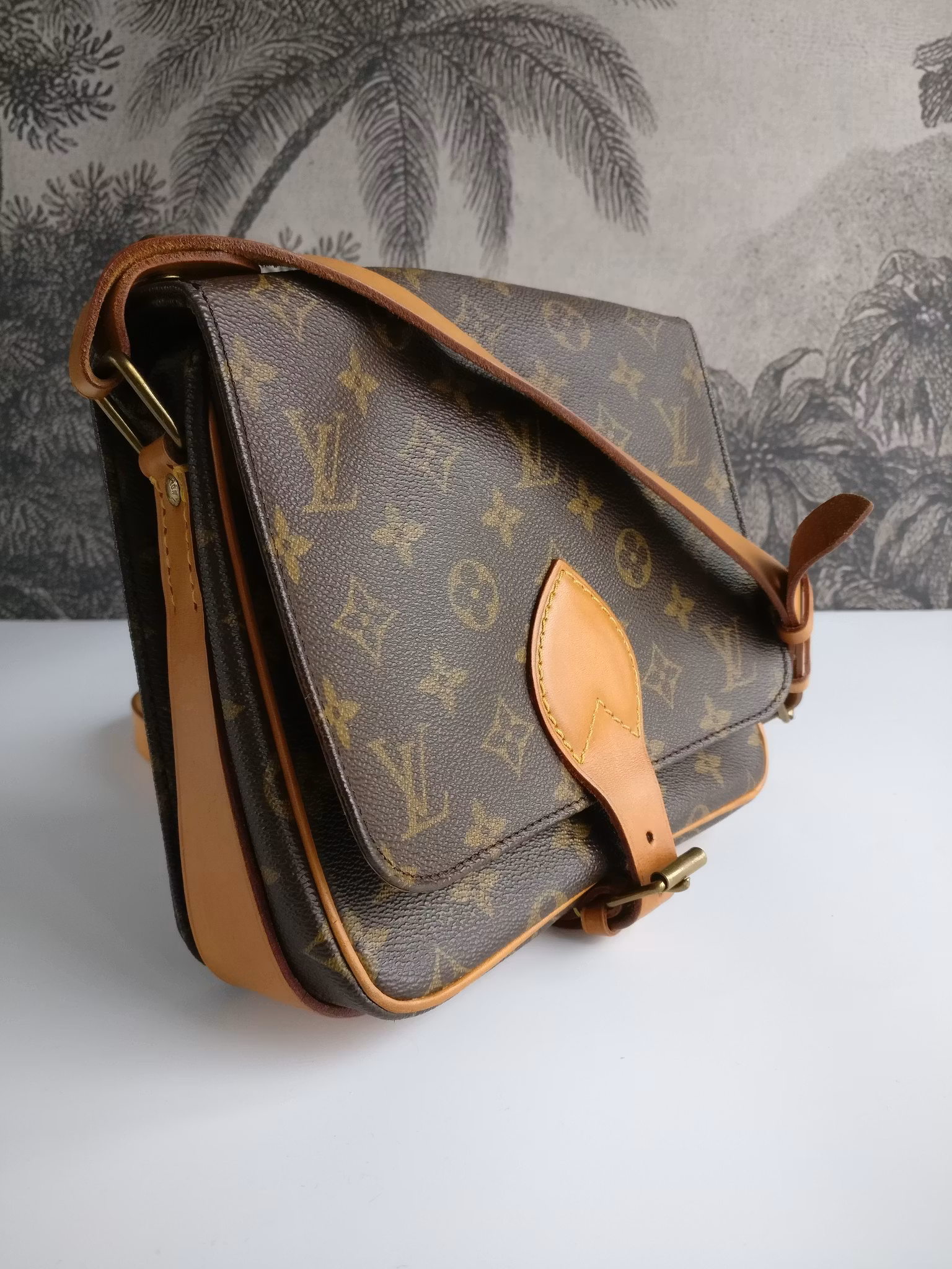 Louis Vuitton Cartouchiere MM