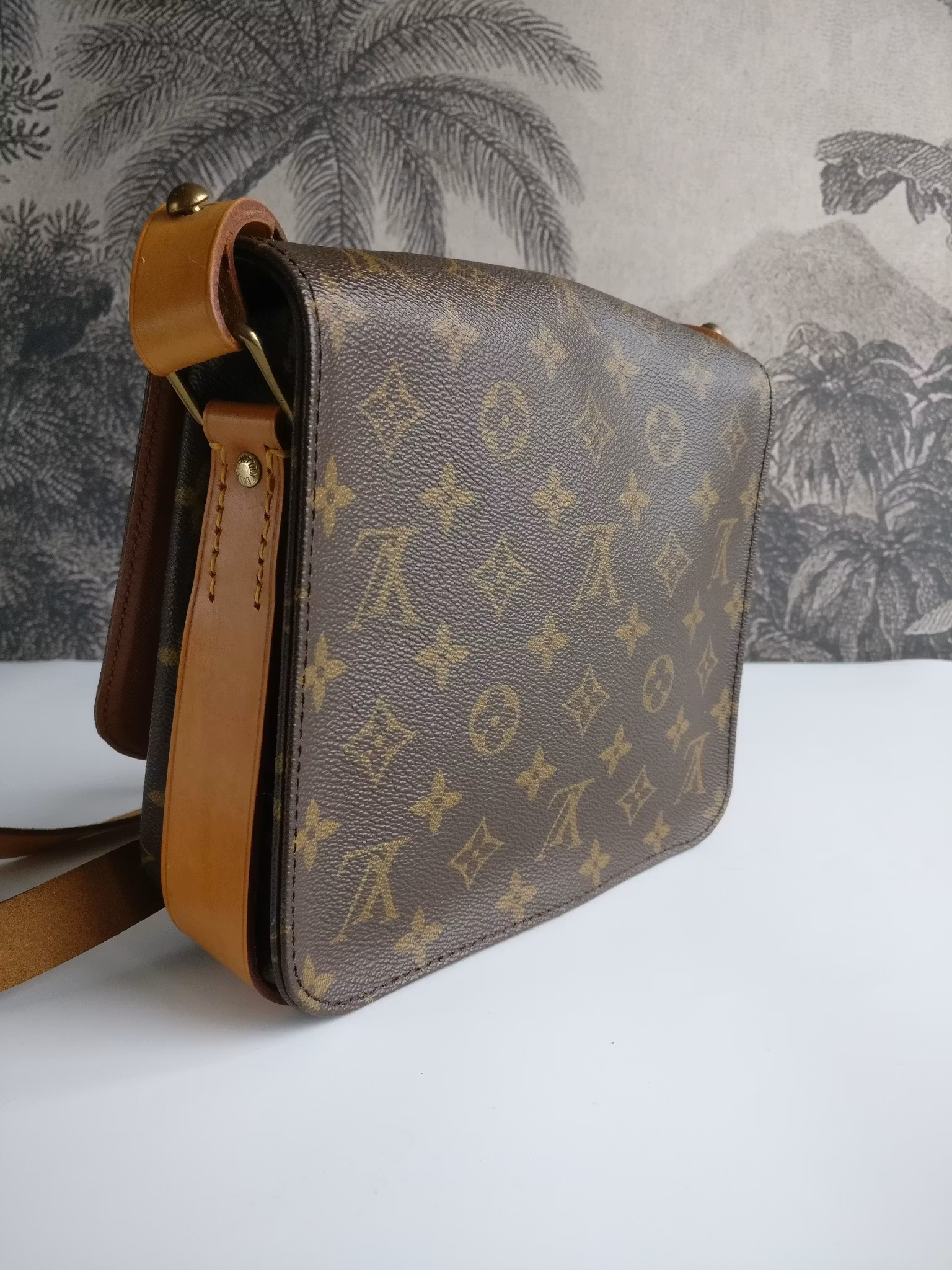 Louis Vuitton Cartouchiere MM