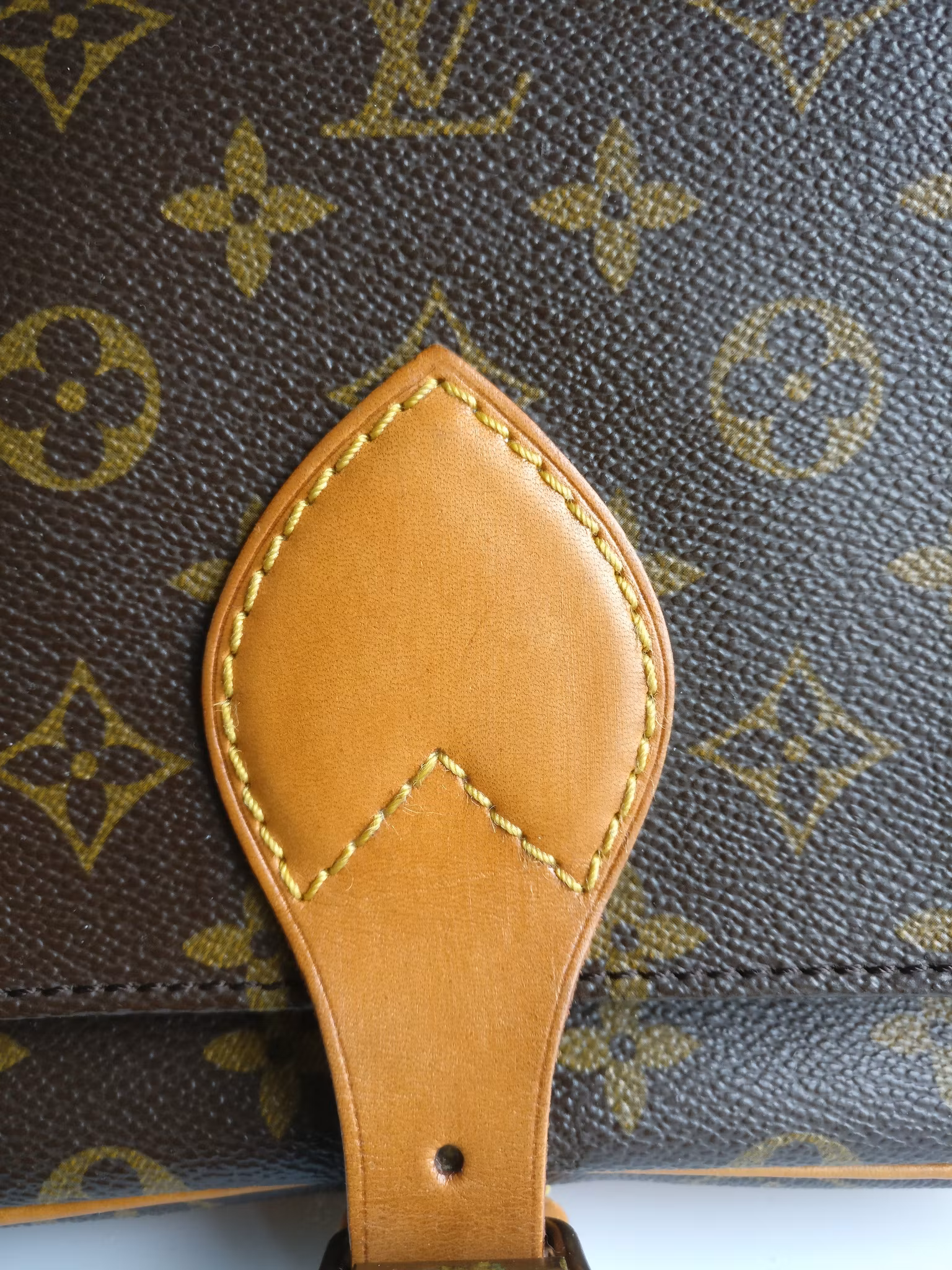 Louis Vuitton Cartouchiere MM