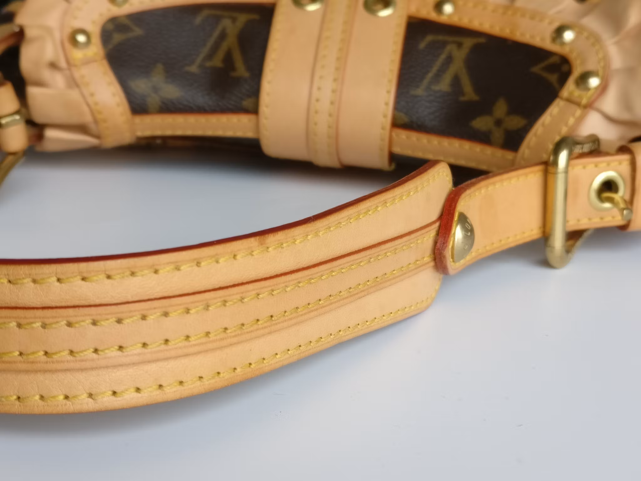 Louis Vuitton Leonor