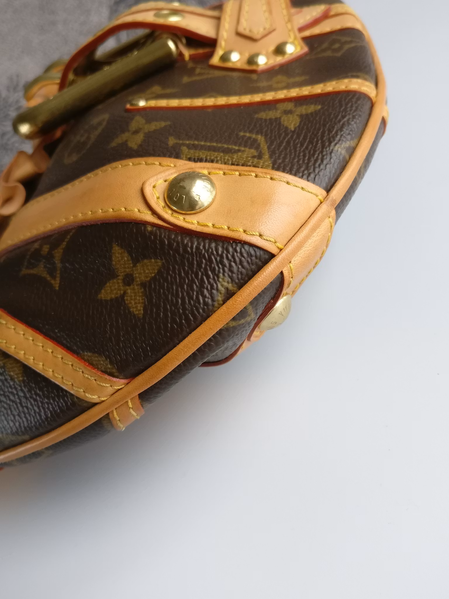 Louis Vuitton Leonor