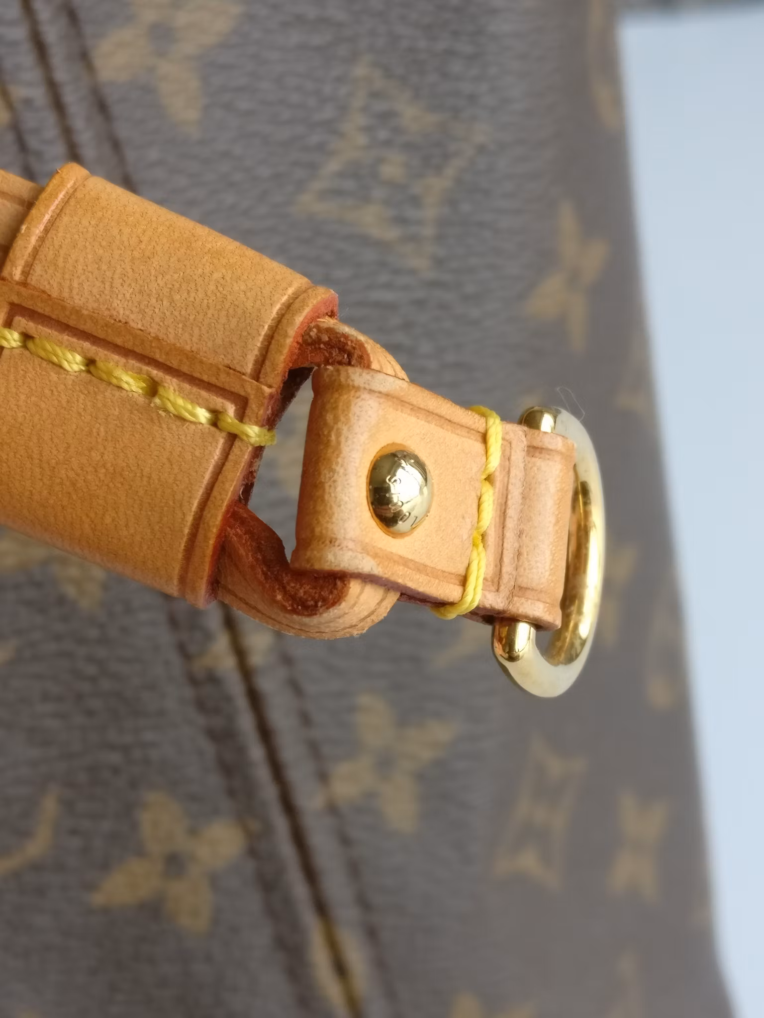 Louis Vuitton Neverfull PM