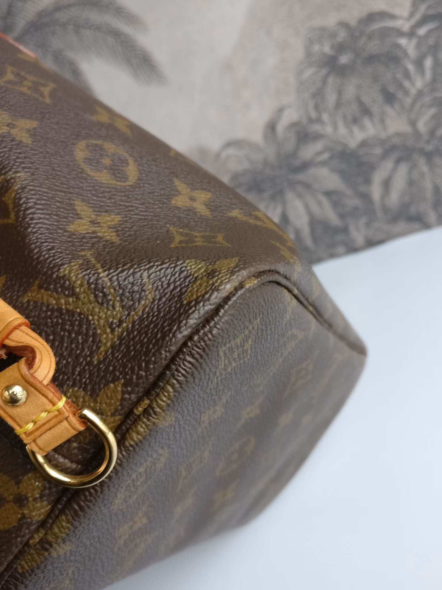 Louis Vuitton Neverfull PM