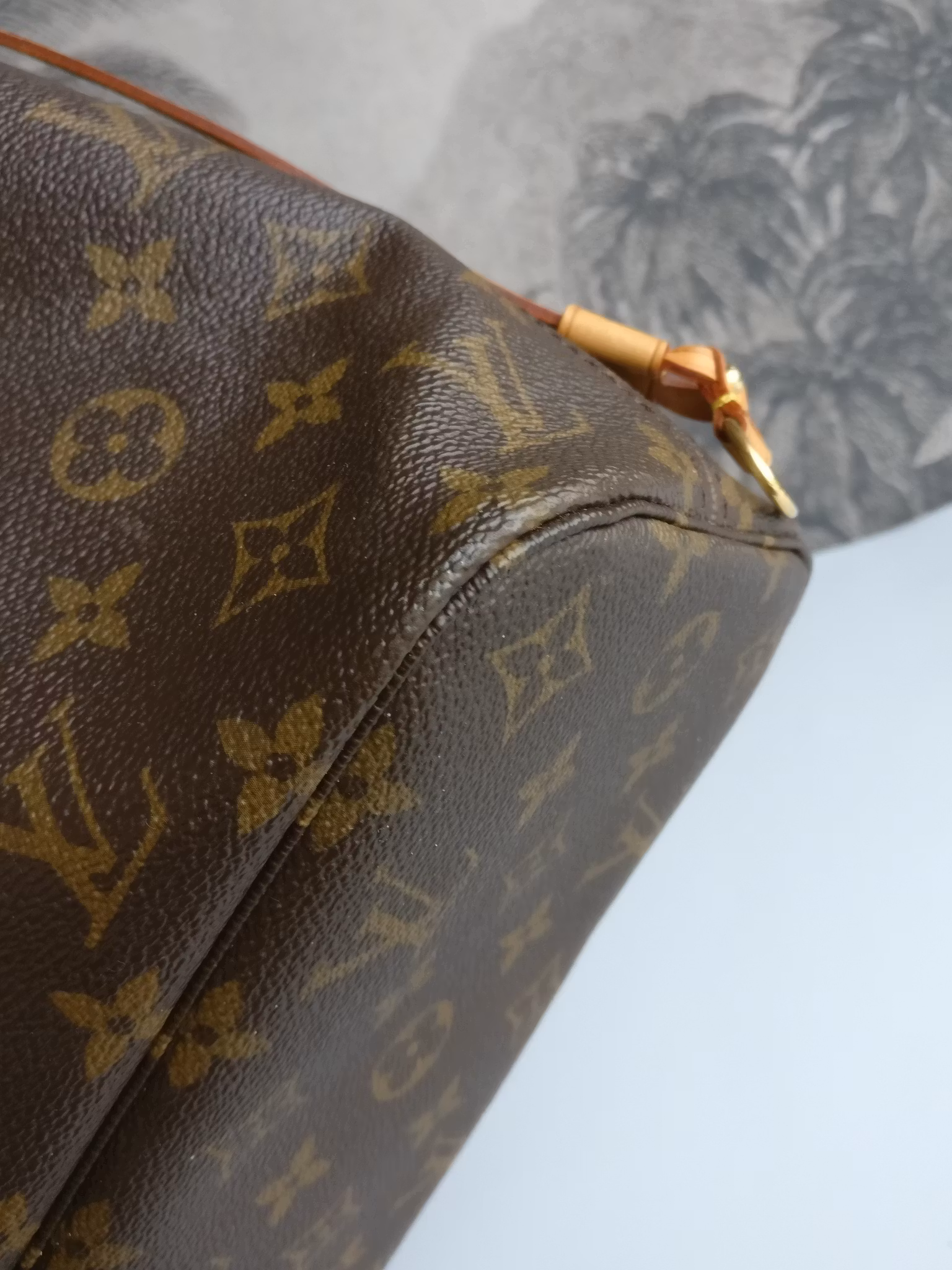 Louis Vuitton Neverfull PM