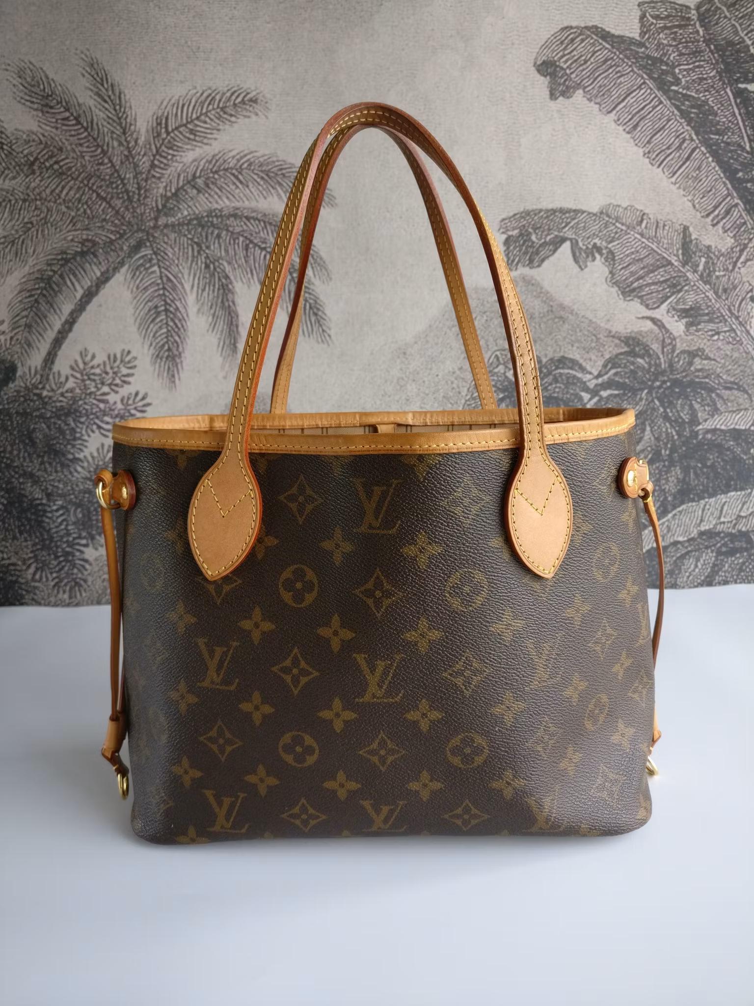 Louis Vuitton Neverfull PM