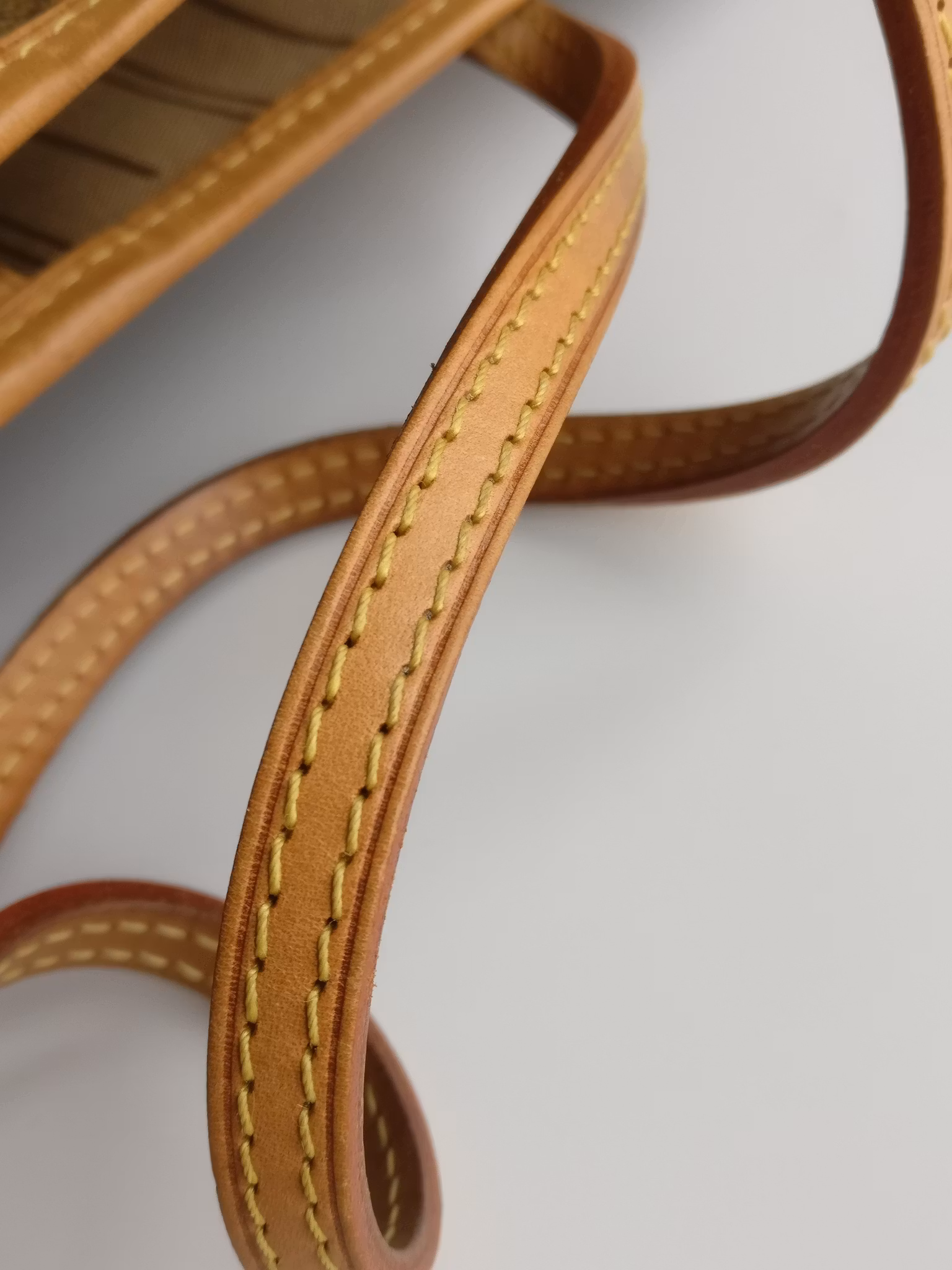 Louis Vuitton Neverfull PM