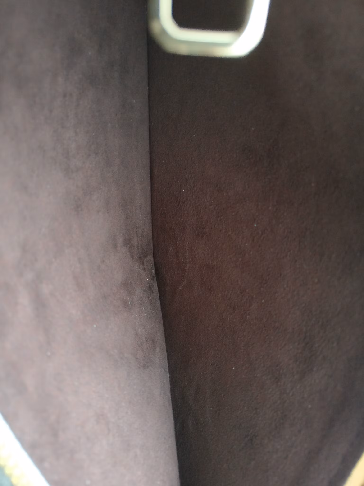 Louis Vuitton Neverfull empreinte clutch