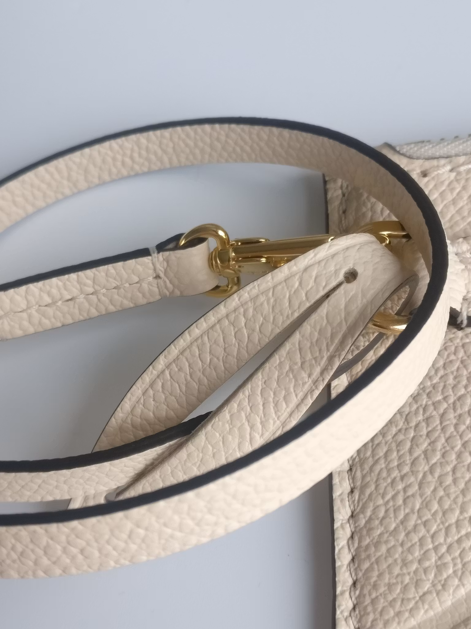 Louis Vuitton Neverfull empreinte clutch