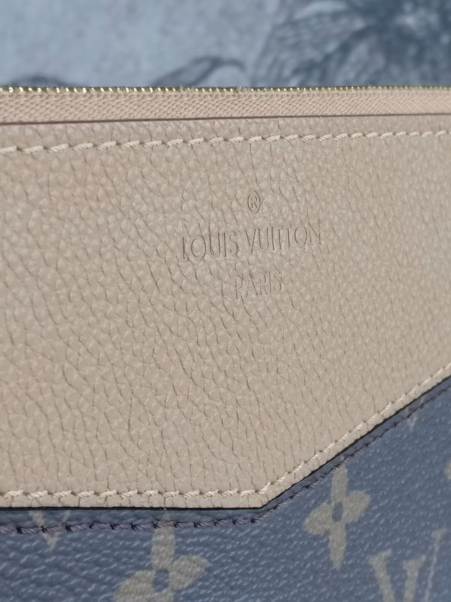 Louis Vuitton Daily Pouch