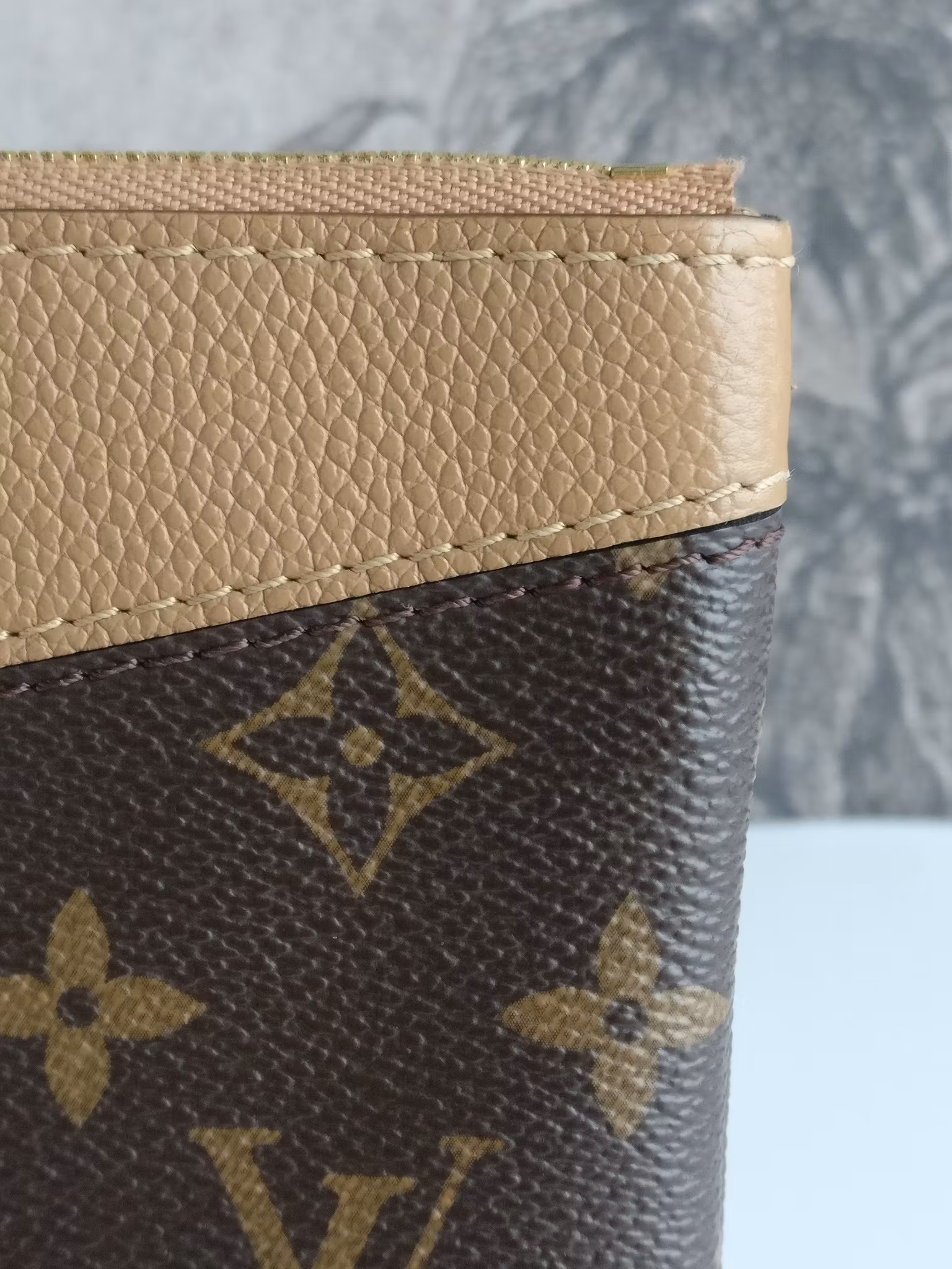 Louis Vuitton Daily Pouch