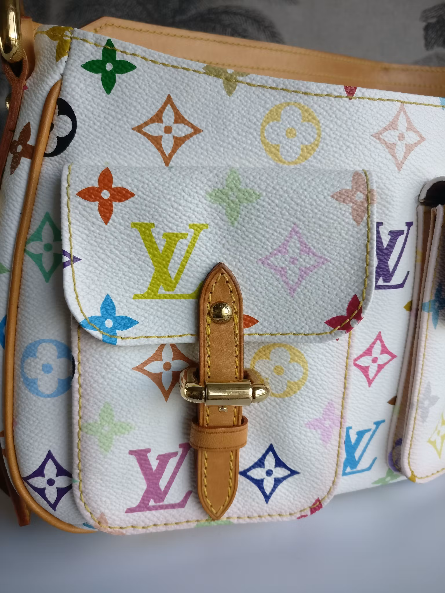Louis Vuitton Lodge PM Multicolore